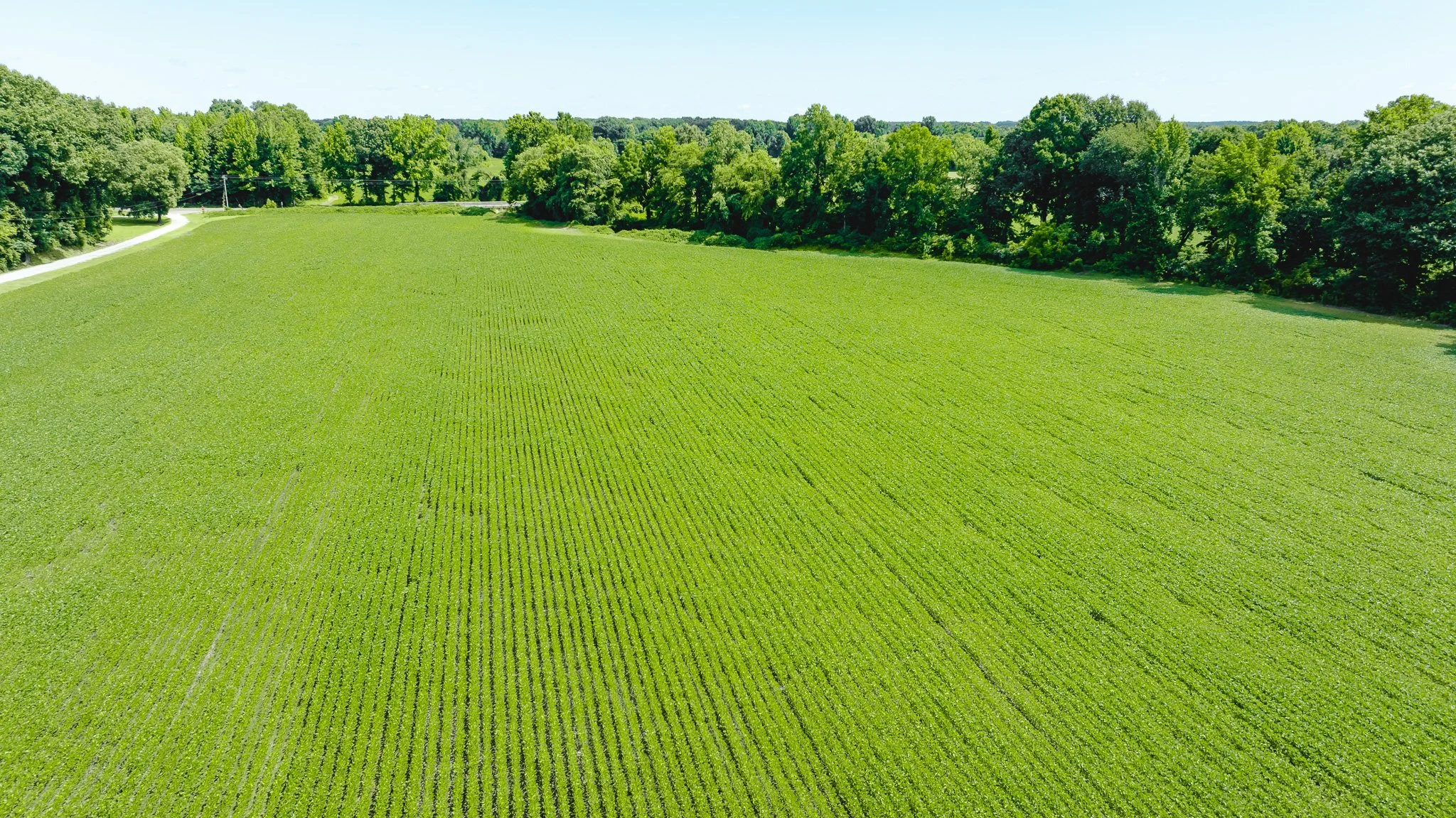DJI_20260613180350_0007_D.jpg