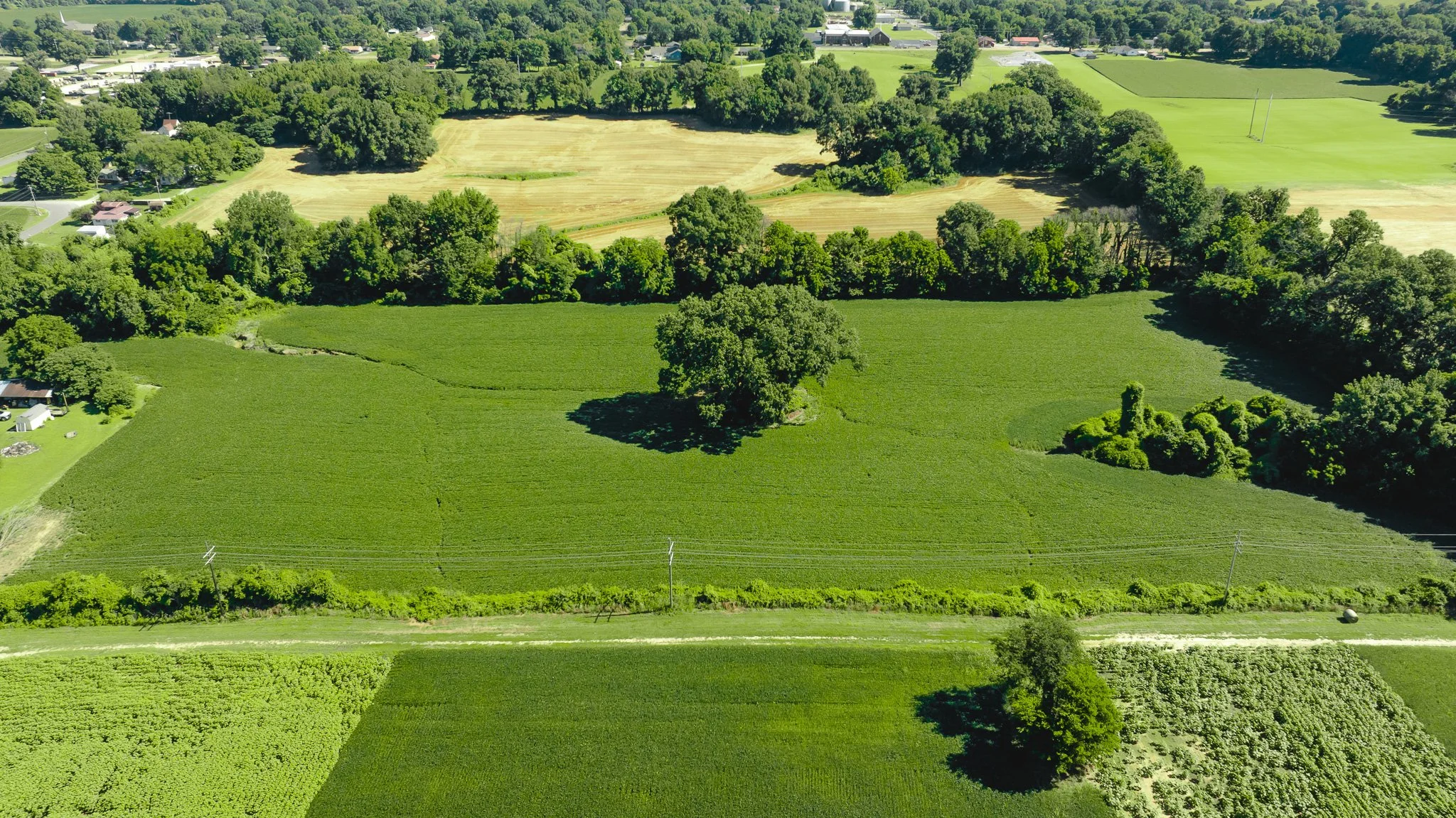 DJI_20260614165840_0003_D.jpg