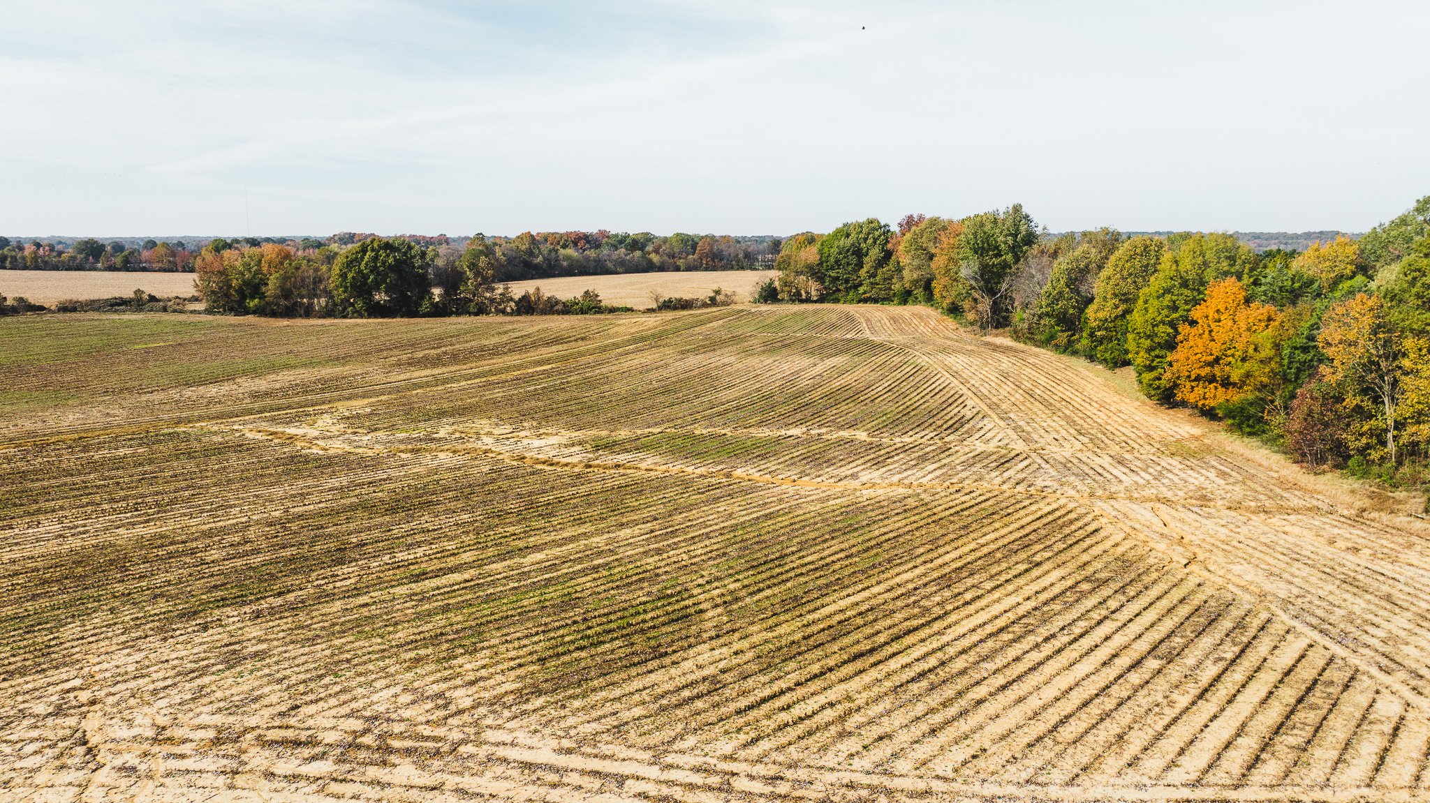 DJI_20251113100850_0026_D.jpg