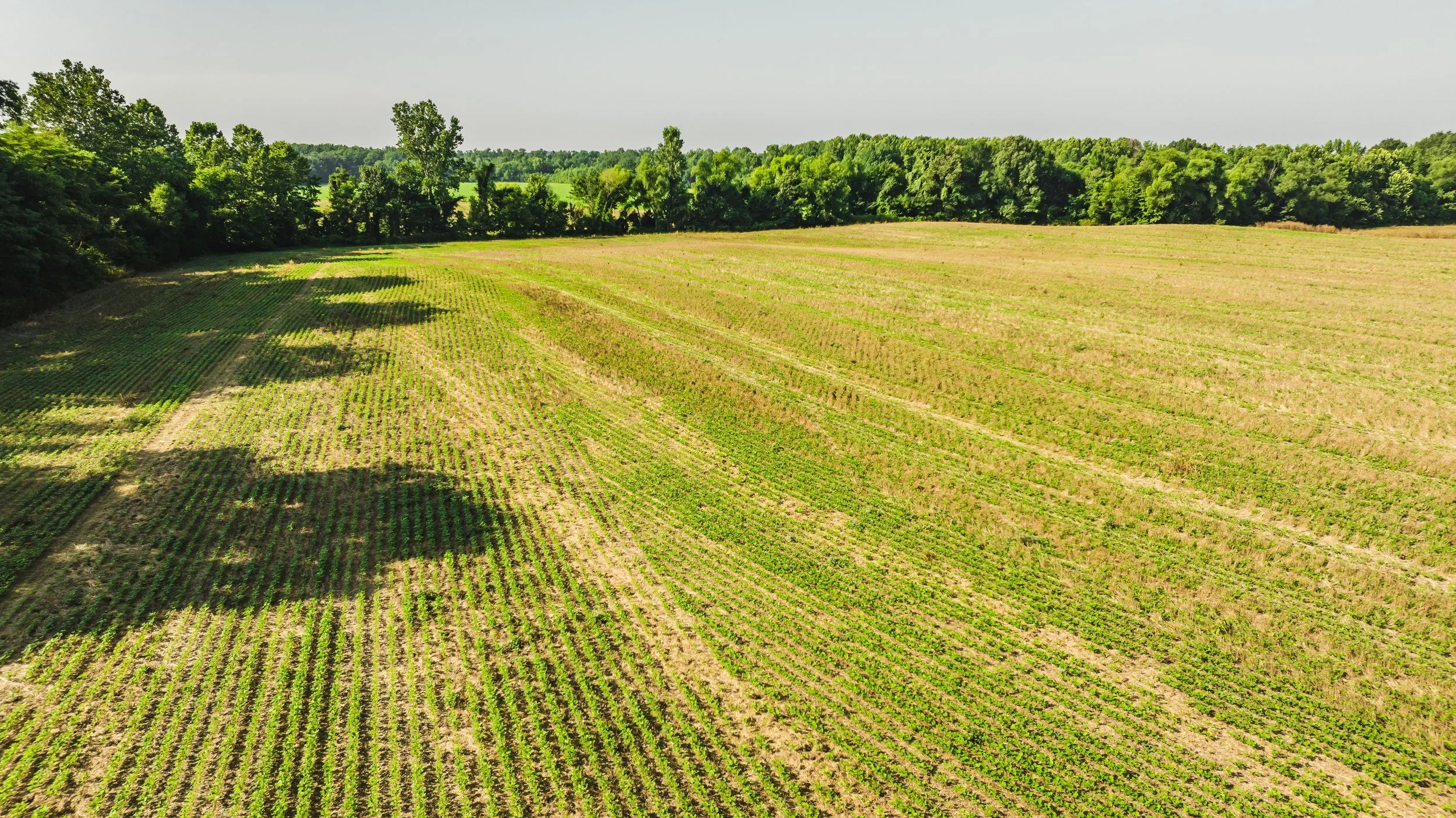 DJI_20250729090153_0040_D.jpg