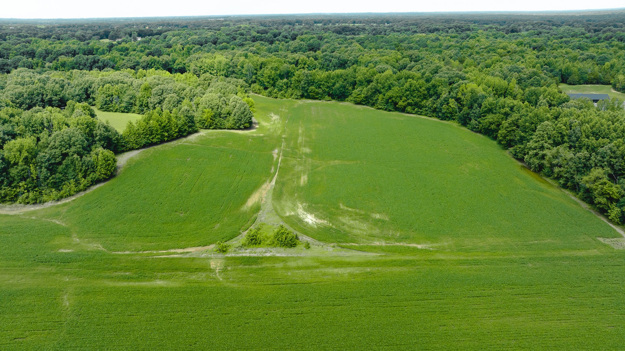 DJI_20260613181504_0028_D.jpg