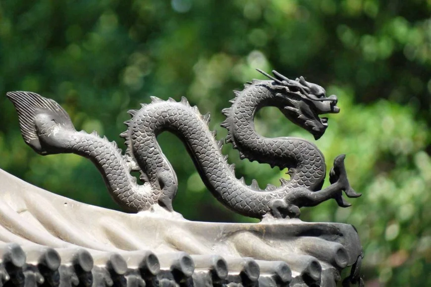 Dragon Dharma