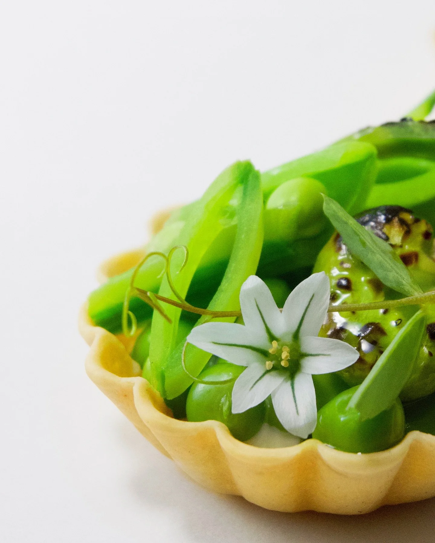Spring Pea Tartelette 🌱

 

.

.

.

.

.

#bricolageevents #bricolage #creativestudio #culinaryhouse #california #montereyca #bigsur #pebblebeach #carmelvalley #carmelbythesea #montereybay #bricolagecatering #californiacuisine #culinaryarts #farmto
