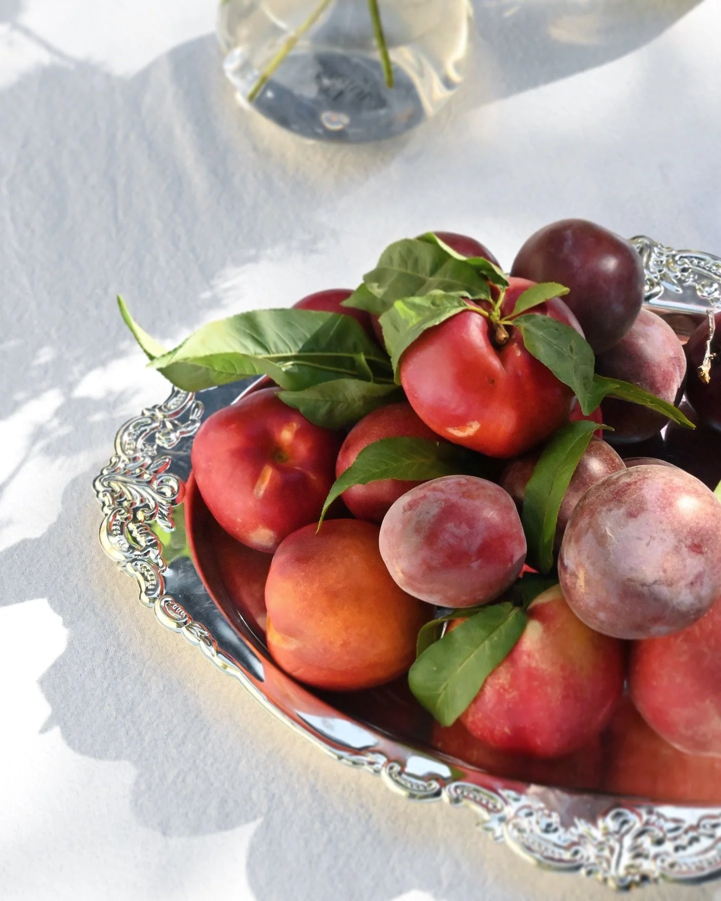 Our daily affirmation this time of year is: &ldquo;it&rsquo;s stone fruit season&rdquo; #availablejoy #stonefruitseason