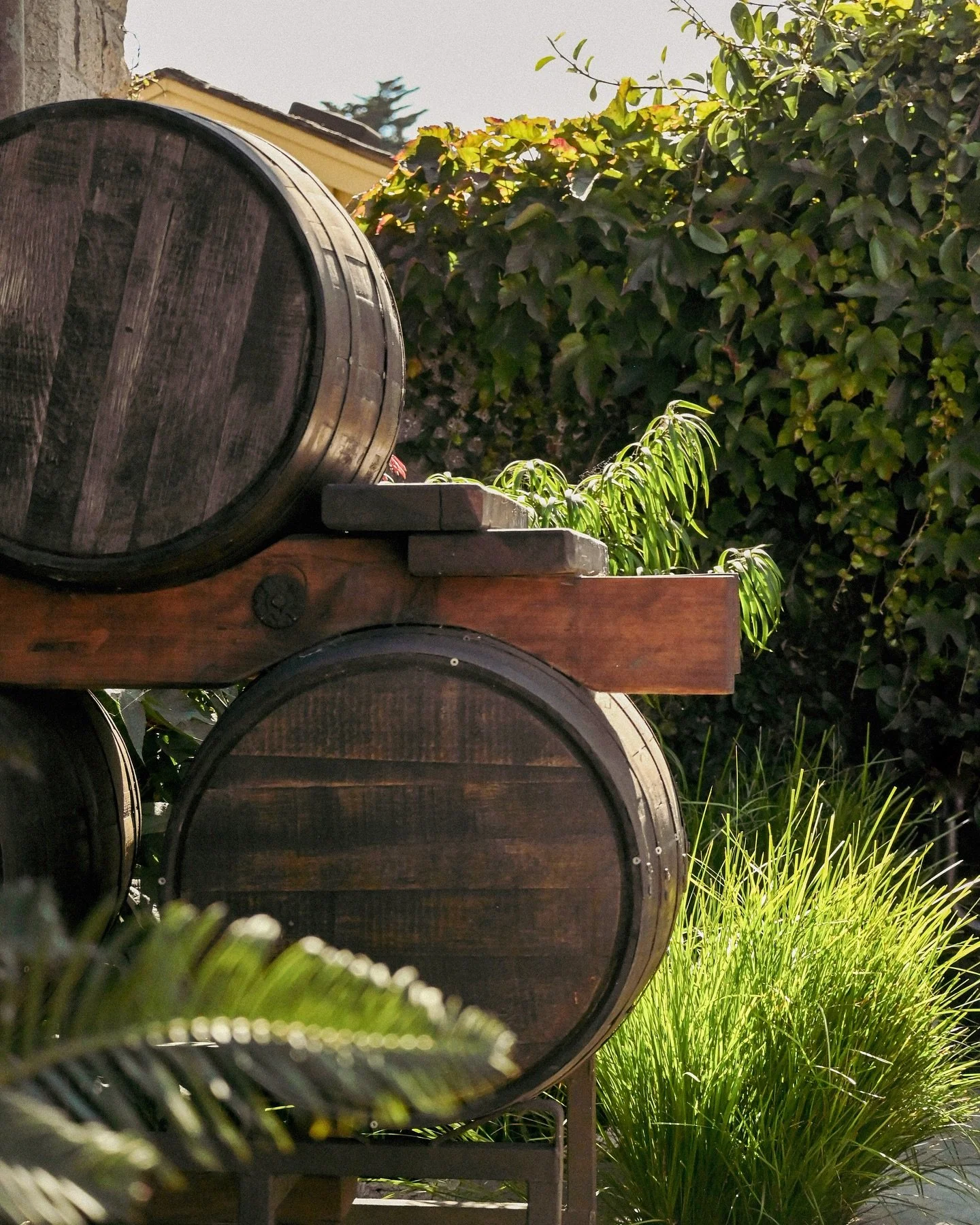 We&rsquo;re brewing up another pop up event for summer with @cocina_callejero 🤩 Stoked for Chef @fallsausten and Chef @jerry_keep_it_cherry to join forces and throw down in the kitchen together again. Stay tuned - more details to share this week!