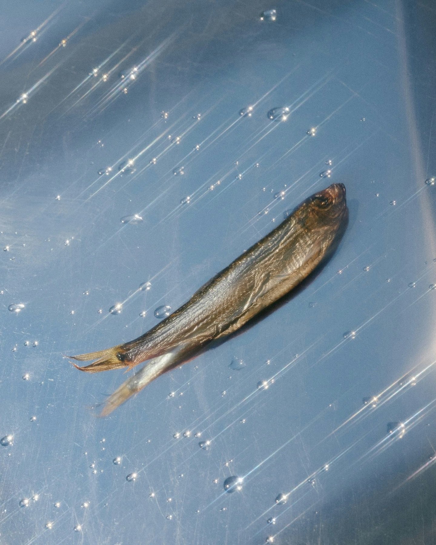 Just keep on shining, 2026 ✨