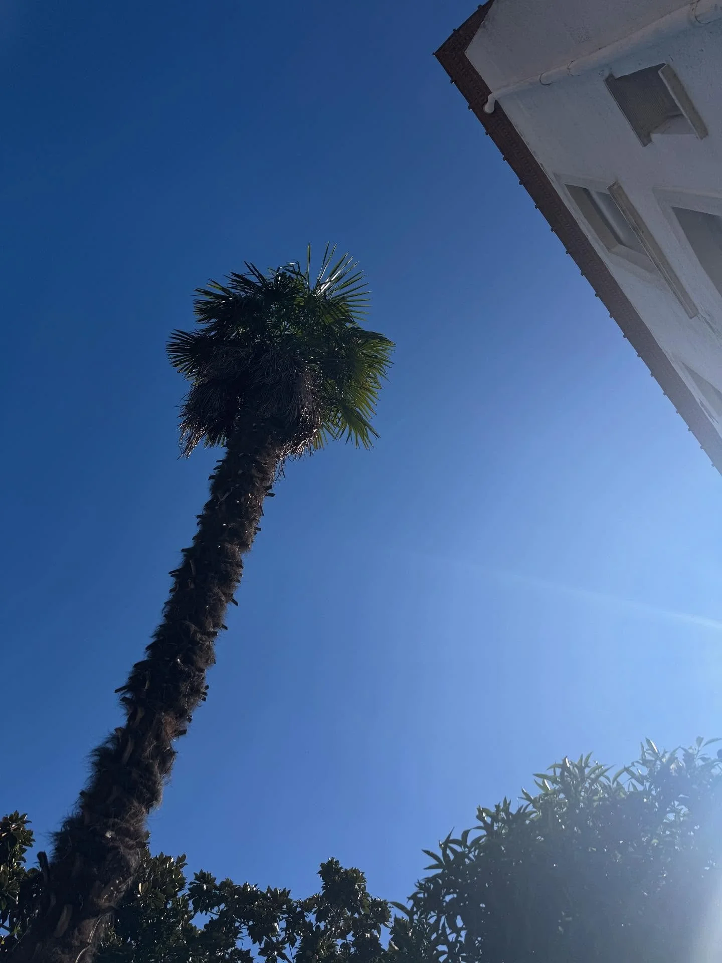 ☀️ 𝑻𝒆𝒎𝒑&ecirc;𝒕𝒆 𝒅𝒆 𝒄𝒊𝒆𝒍 𝒃𝒍𝒆𝒖 &agrave; 𝒍𝒂 𝑽𝒊𝒍𝒍𝒂 𝑪𝒂𝒍𝒚𝒔&hellip; 𝒒𝒖𝒂𝒏𝒅 𝒍𝒆 𝒄𝒂𝒍𝒎𝒆 𝒓𝒆𝒔𝒔𝒆𝒎𝒃𝒍𝒆 &agrave; 𝒅𝒆𝒔 𝒗𝒂𝒄𝒂𝒏𝒄𝒆𝒔 🌿
.
.
.
.
.
#villacalys #escapadepoetique #havredepaix #maisondhotesdecharme #me
