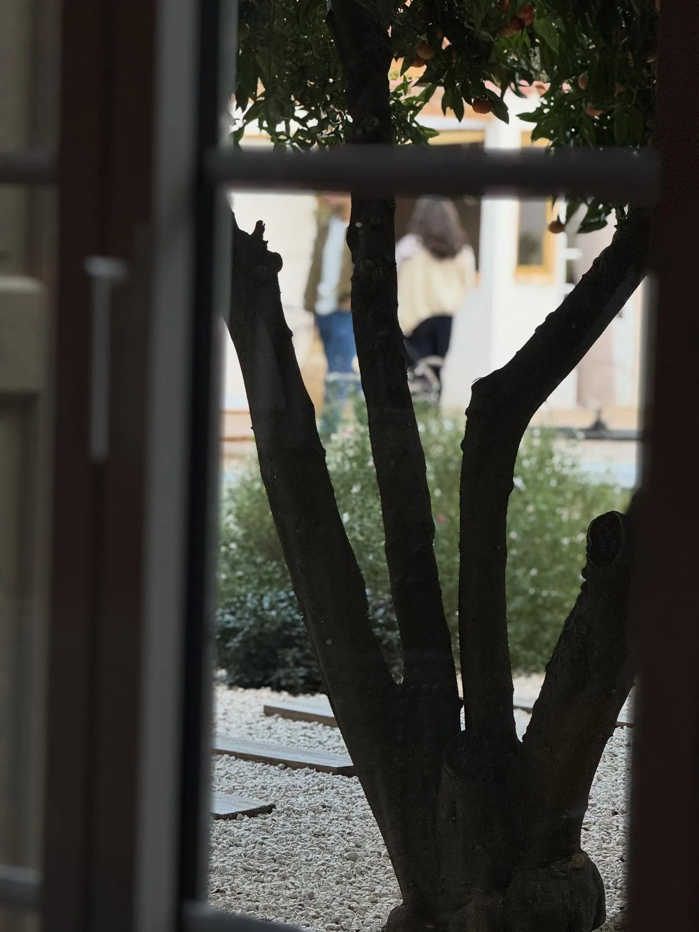 &Agrave; 𝒍𝒂 𝑽𝒊𝒍𝒍𝒂 𝑪𝒂𝒍𝒚𝒔, 𝒐𝒏 𝒂𝒊𝒎𝒆 𝒄𝒆𝒔 𝒊𝒏𝒔𝒕𝒂𝒏𝒕𝒔 𝒗𝒐𝒍&eacute;𝒔.

𝑪𝒆𝒔 𝒎𝒐𝒎𝒆𝒏𝒕𝒔 𝒐&ugrave;, 𝒅𝒆𝒑𝒖𝒊𝒔 𝒍𝒂 𝒎𝒂𝒊𝒔𝒐𝒏, 𝒐𝒏 𝒂𝒑𝒆𝒓&ccedil;𝒐𝒊𝒕 𝒏𝒐𝒔 𝒉&ocirc;𝒕𝒆𝒔 𝒓𝒊𝒓𝒆, 𝒅𝒊𝒔𝒄𝒖𝒕𝒆𝒓, 𝒔𝒊𝒎𝒑𝒍?