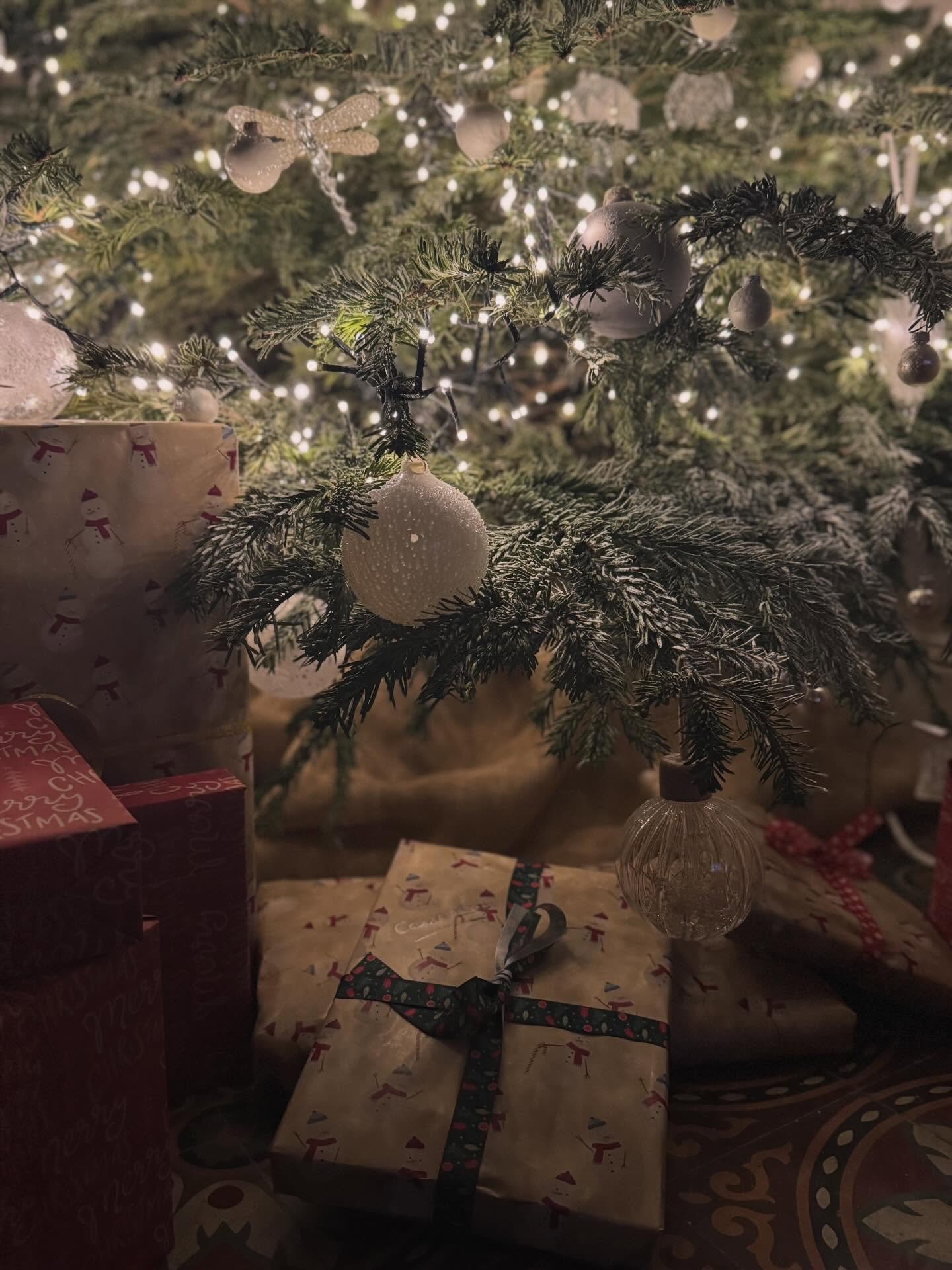 𝑫𝒆𝒄𝒆𝒎𝒃𝒆𝒓 𝒓𝒆𝒄𝒂𝒑 𝒊𝒏 𝒕𝒉𝒆 𝒔𝒐𝒖𝒕𝒉 🌞🎄🥂🧡
.
.
.
.
.
#recapdecembre #dansmapellicule