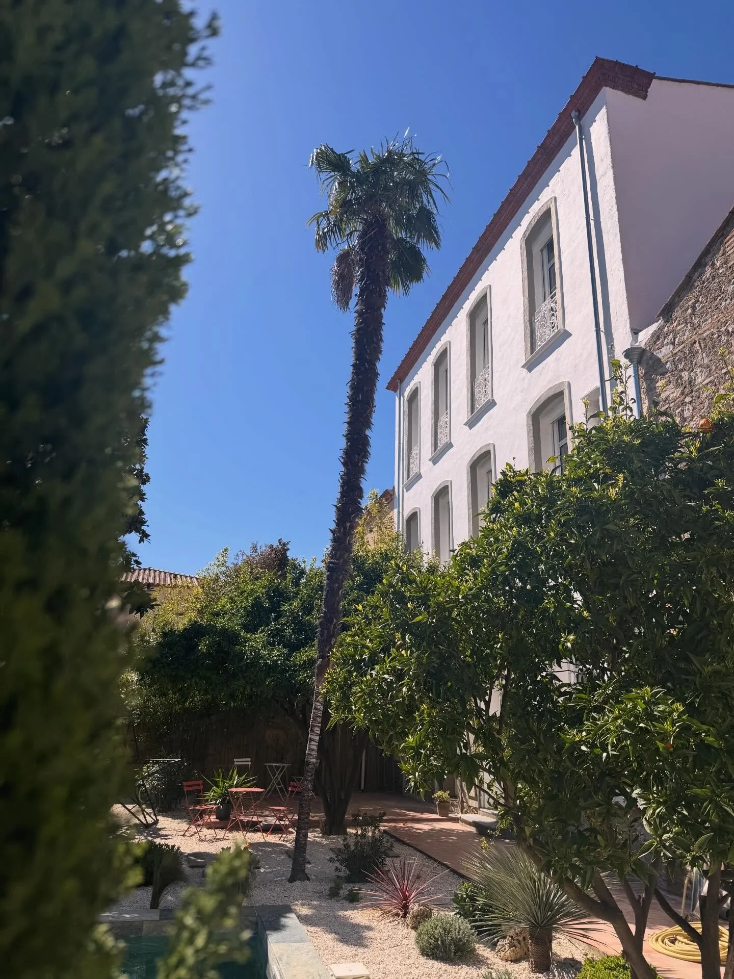 🌞🩵🌿 Le printemps s&rsquo;&eacute;veille doucement &agrave; la Villa Calys 

Venez vivre l&rsquo;exp&eacute;rience Villa Calys &agrave; nos c&ocirc;t&eacute;s, ici dans le sud ! 

R&eacute;servation via www.villacalys.com