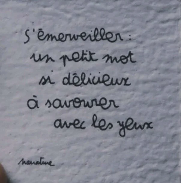 Certaines rencontres laissent une trace douce dans une maison.

Aujourd&rsquo;hui, nos h&ocirc;tes sont repartis&hellip; et comme souvent, la Villa para&icirc;t un peu plus silencieuse apr&egrave;s leur d&eacute;part.
Parce qu&rsquo;au fil des jours,