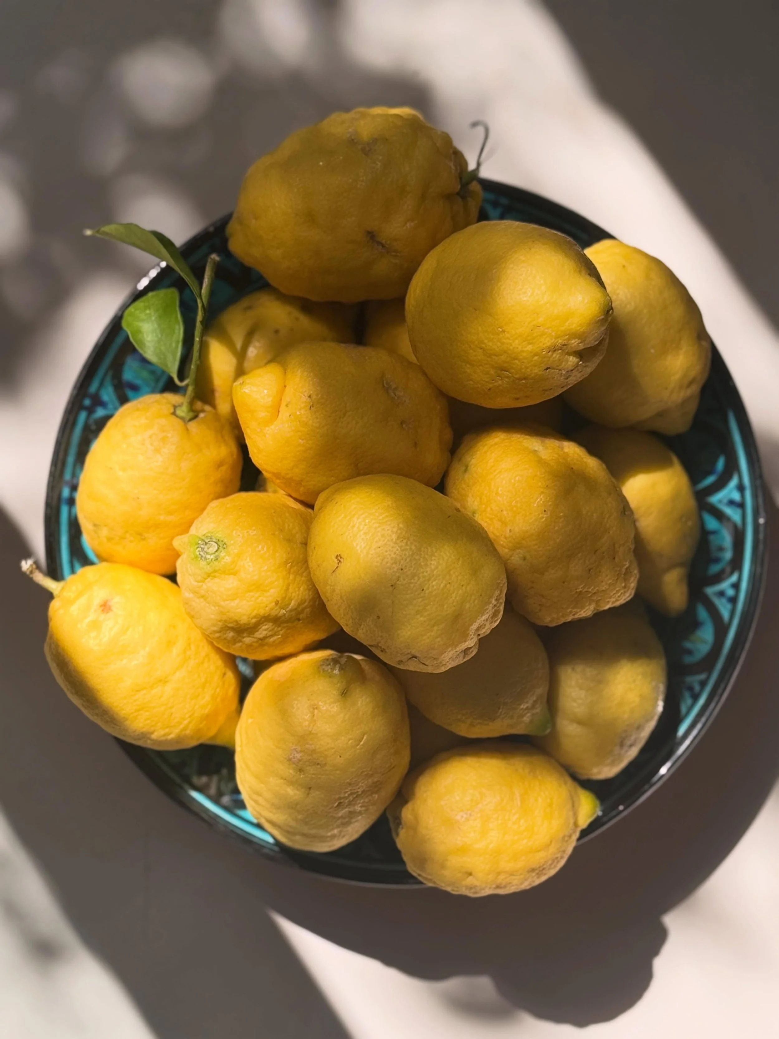 MAI RECAP IN THE SOUTH 🍋🐢🌞🥘