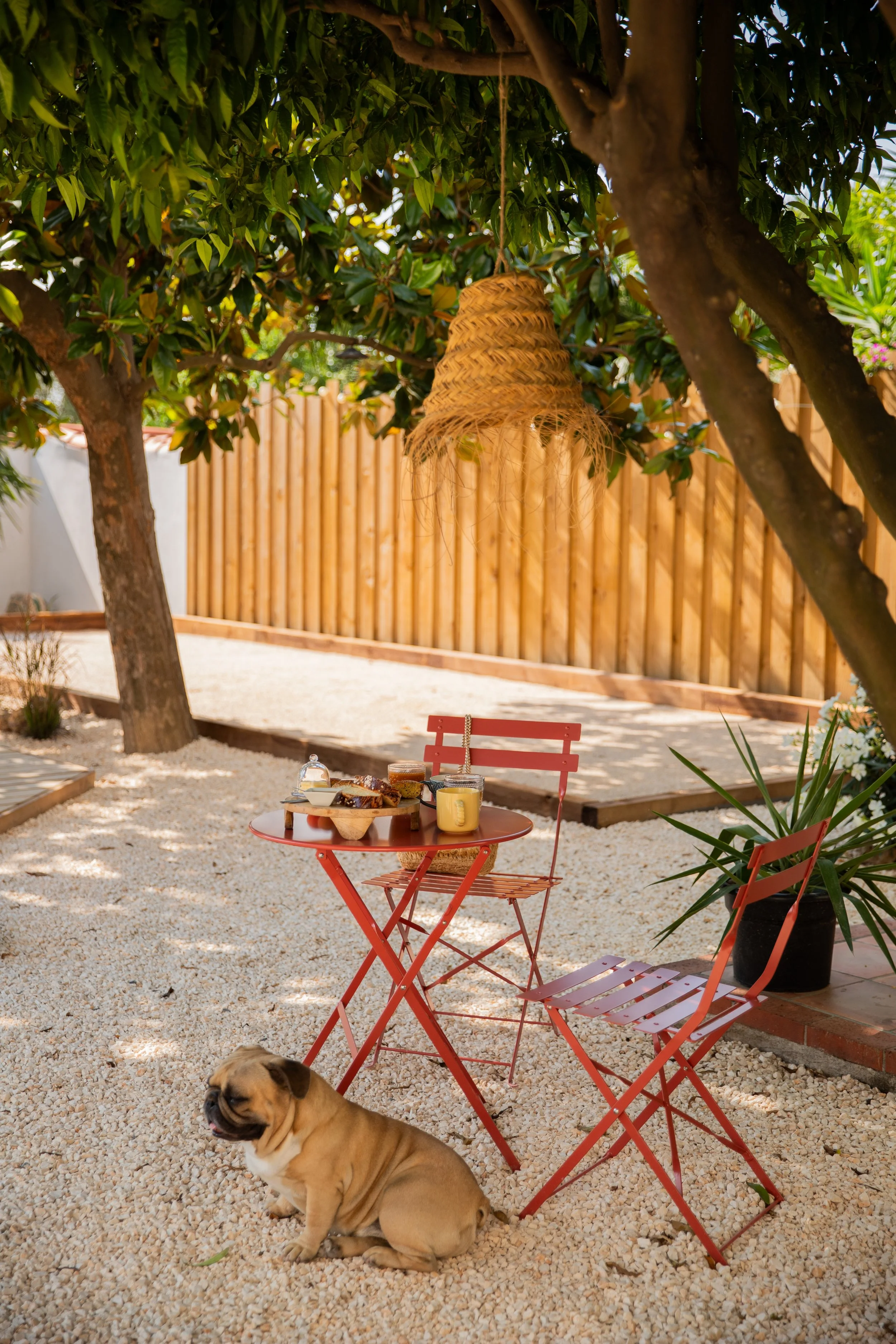 MAISON D'HÔTES DE CHARME CLAIRA PERPIGNAN LE BARCARÉS.jpeg