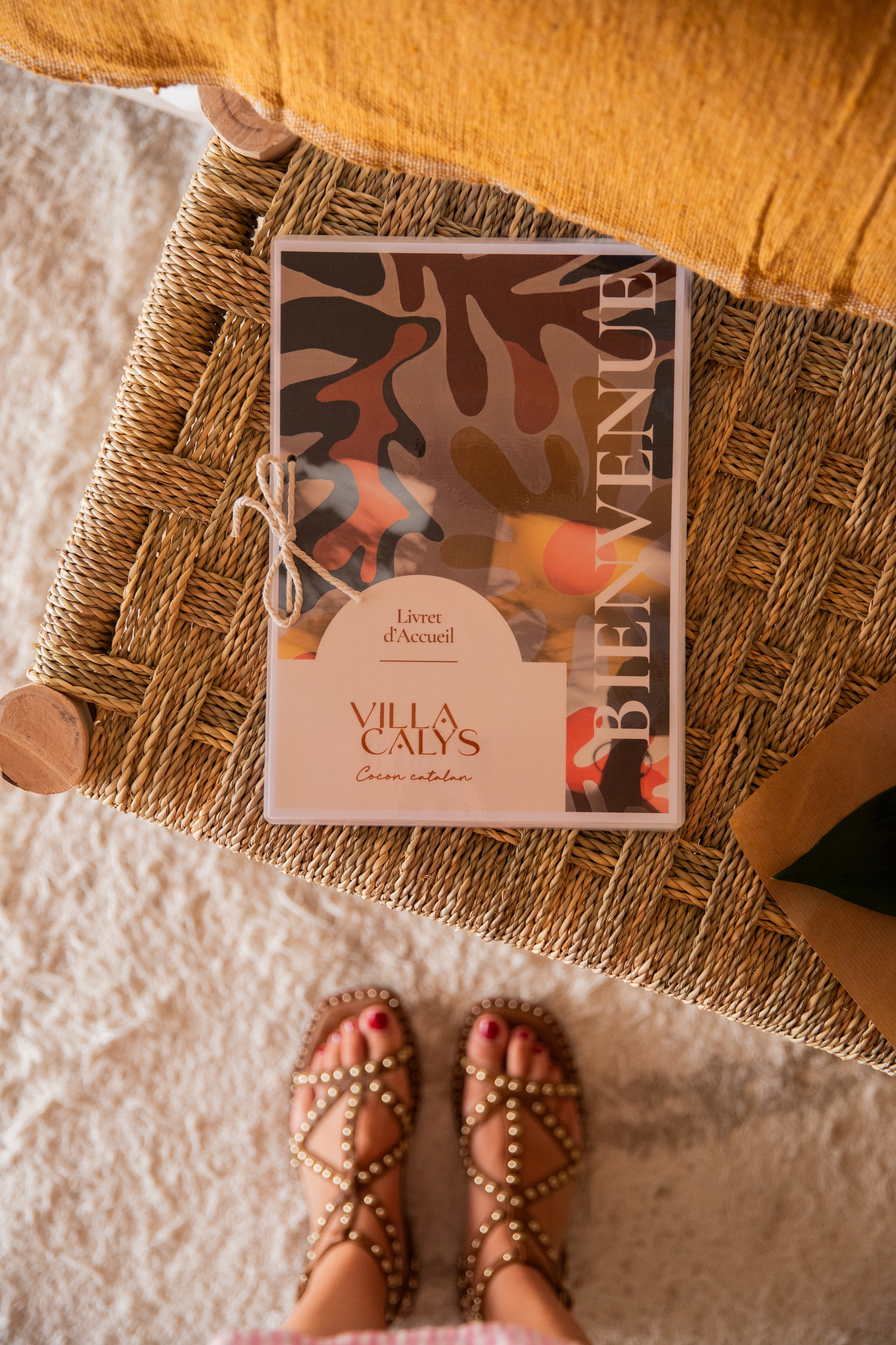 MAISON D'HÔTES DE CHARME CLAIRA PERPIGNAN LE BARCARÉS.jpeg