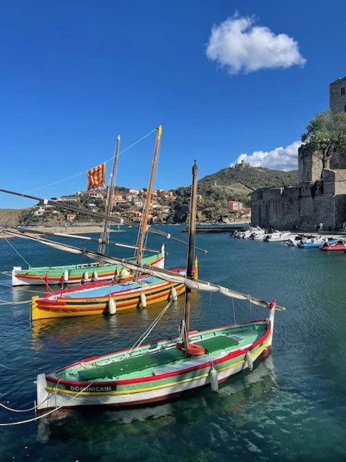 SUD DE LA FRANCE.jpeg