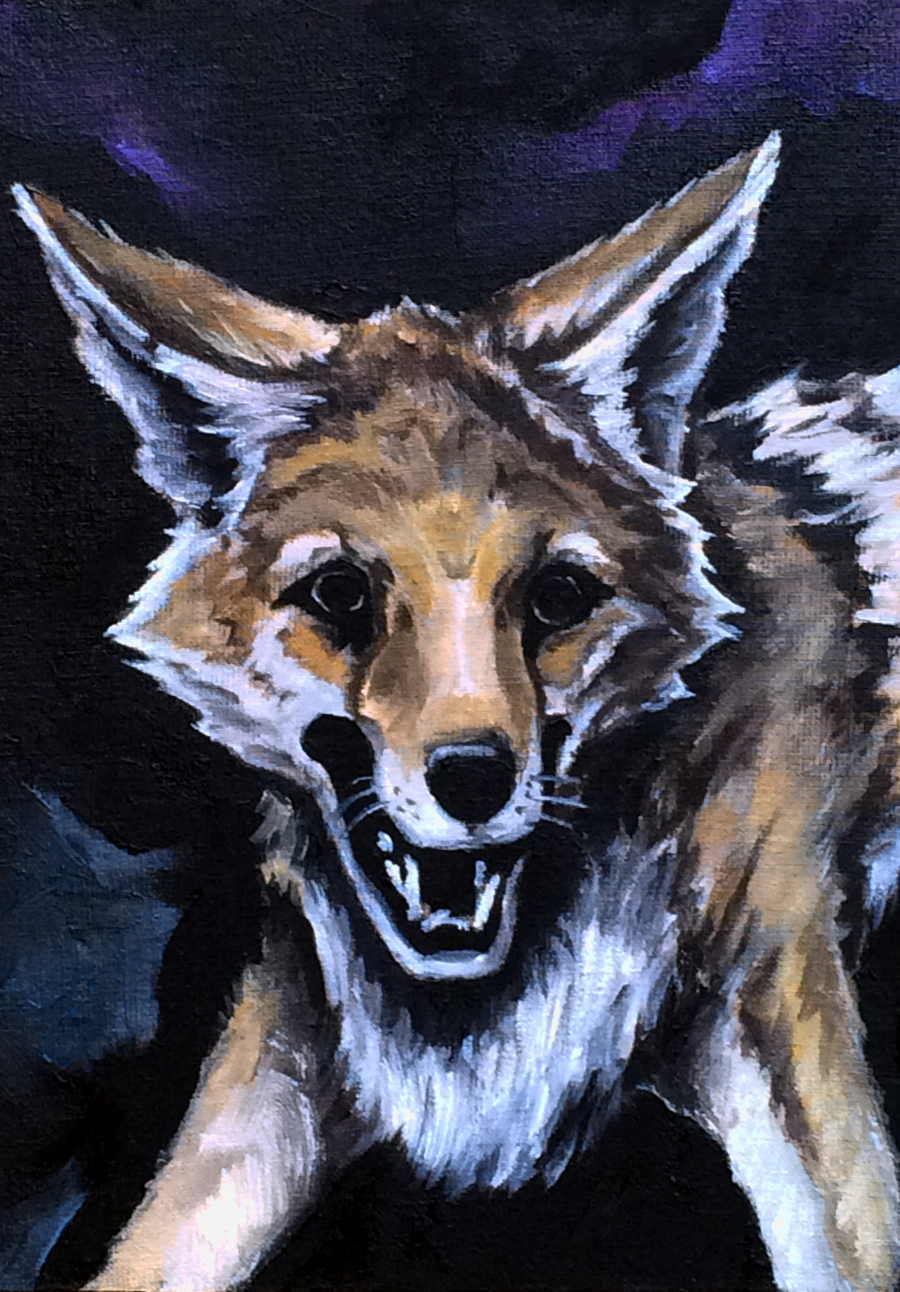 "Coyote"
7" x 5"
Oil on Muslin Board
2015
