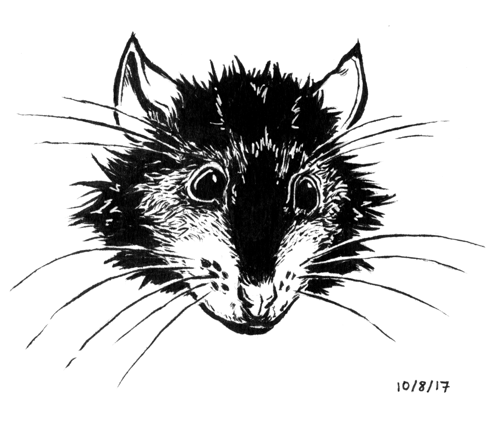 Inktober 2017: Day 8