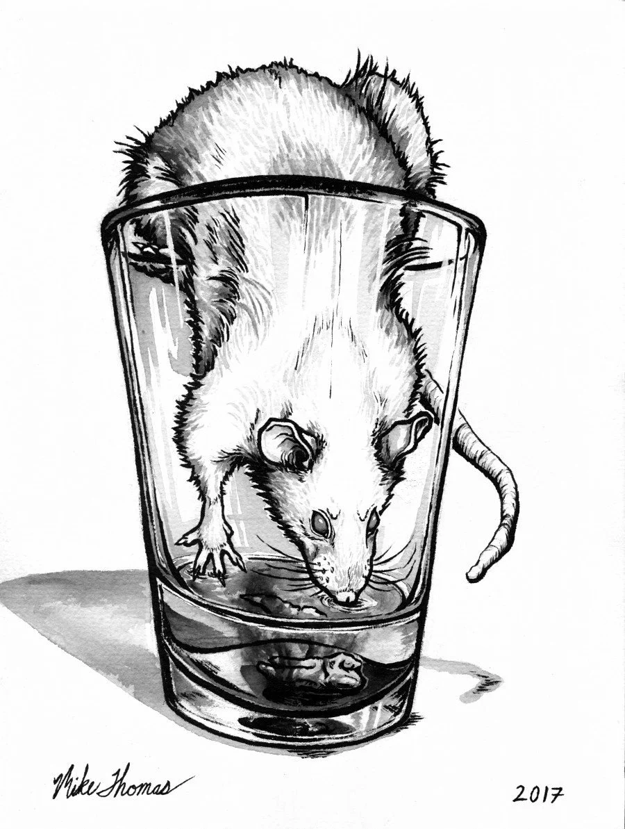 "Kleo"
Ink on Paper
2017