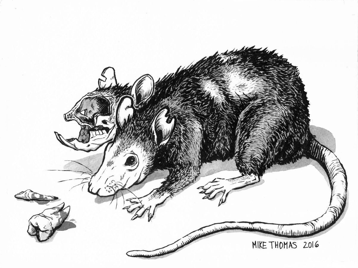 "Oliver"
Ink on Paper
2016