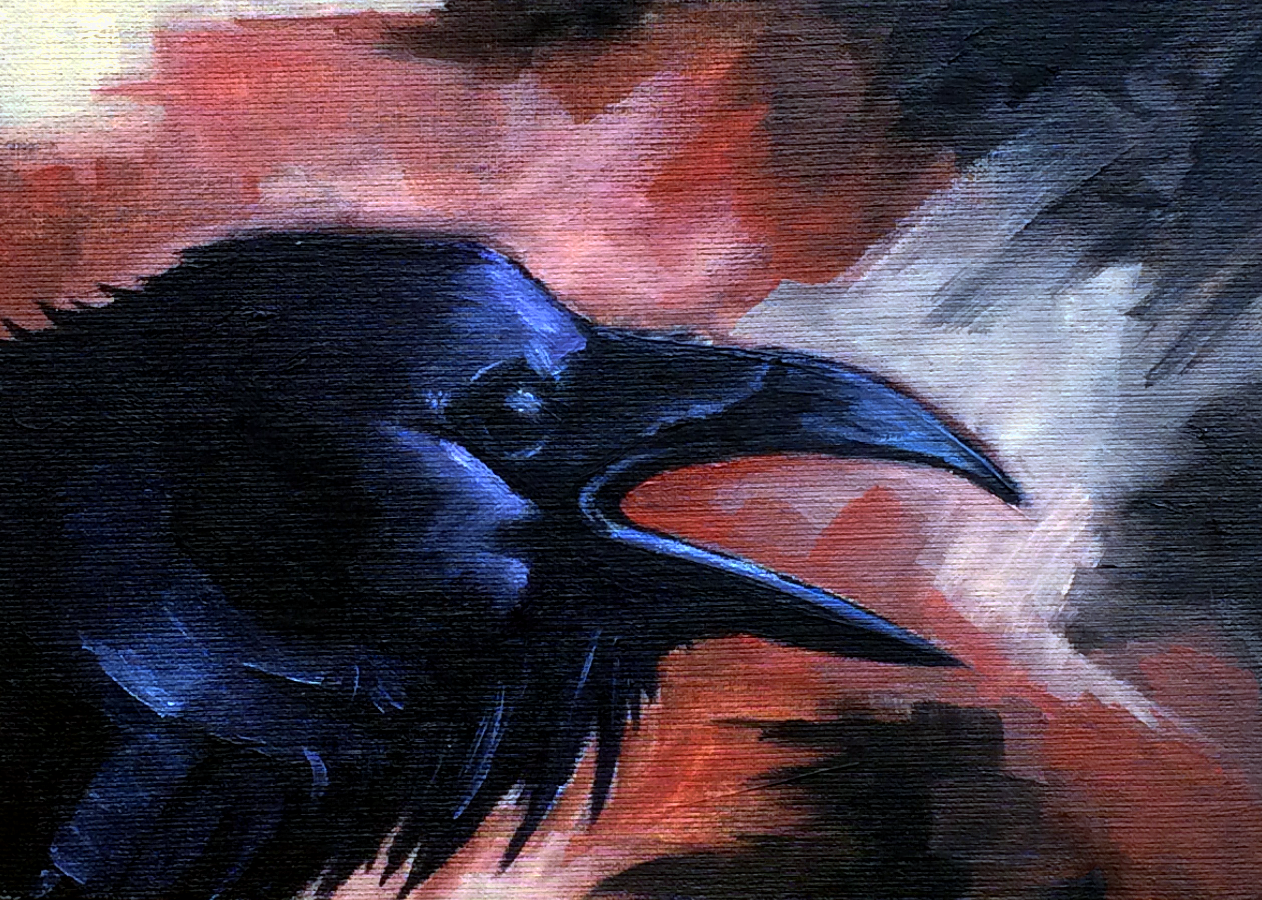 "Raven"
5″ x 7″
Oil on Muslin Board
2015