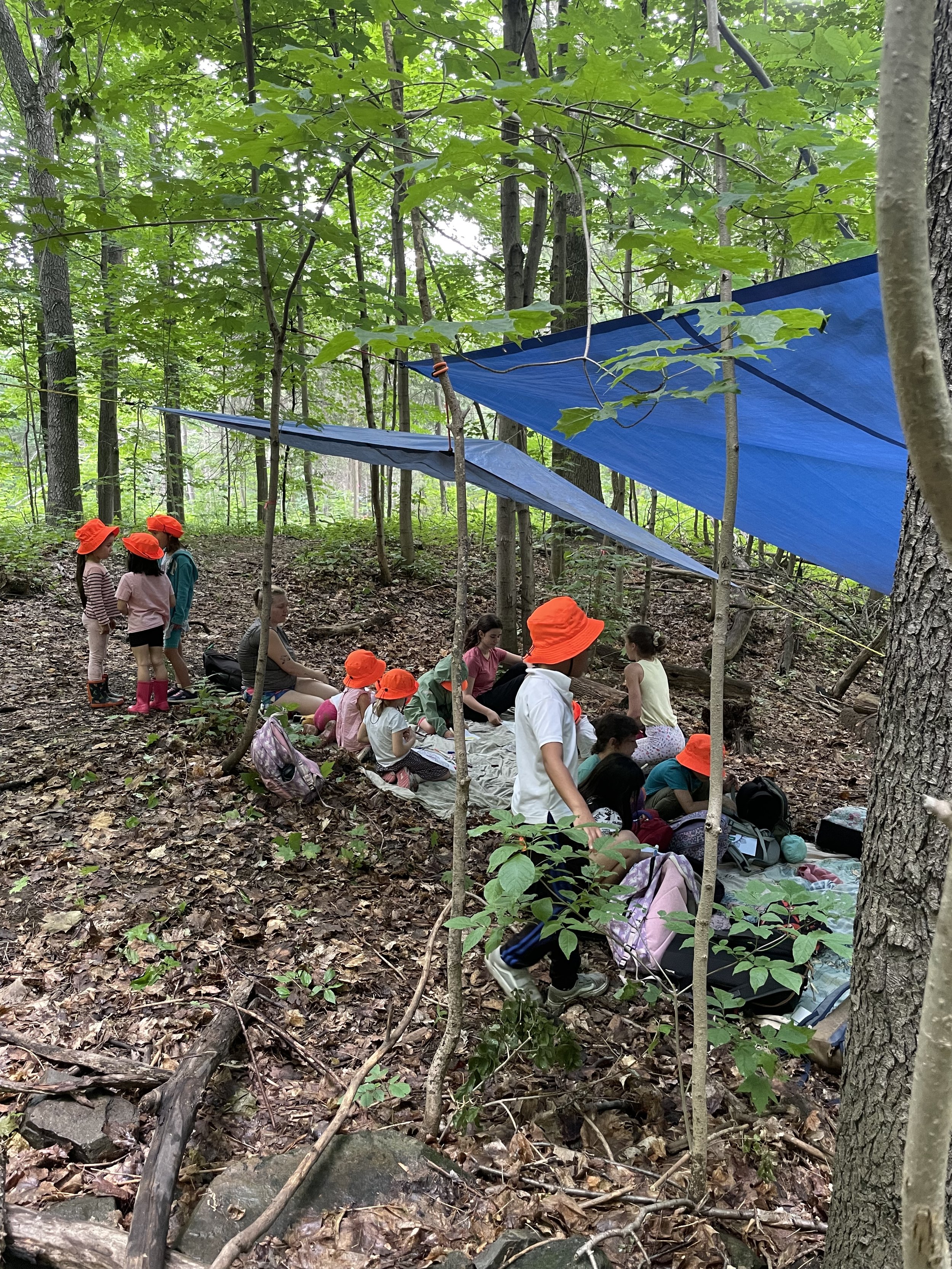 Children in orange hats sitting under a blue tarp in a forest setting, engaging in outdoor activities.