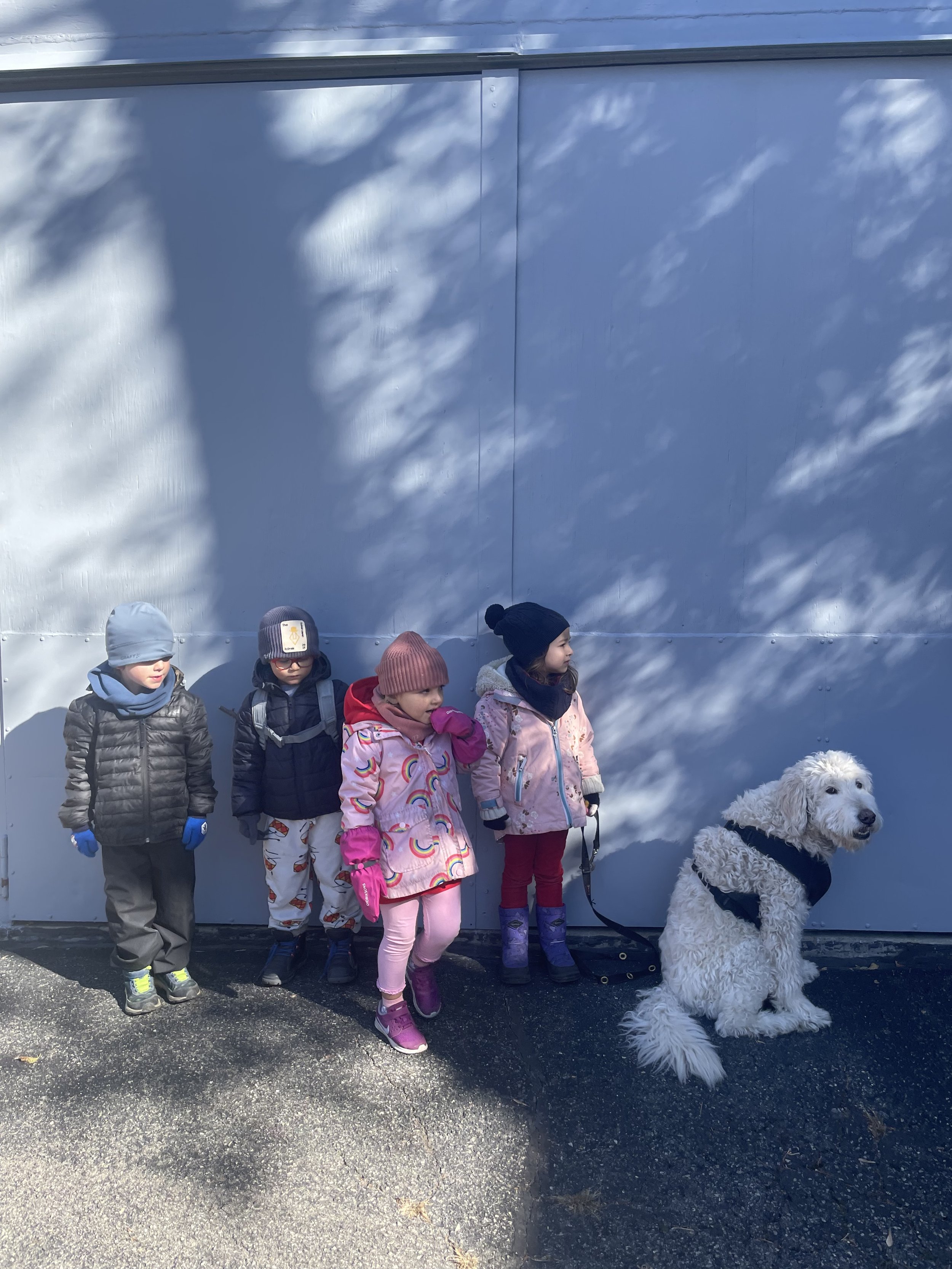 Four children dressed in winter clothing standing next to a large white fluffy dog sitting on a leash against a gray wall with tree shadows.