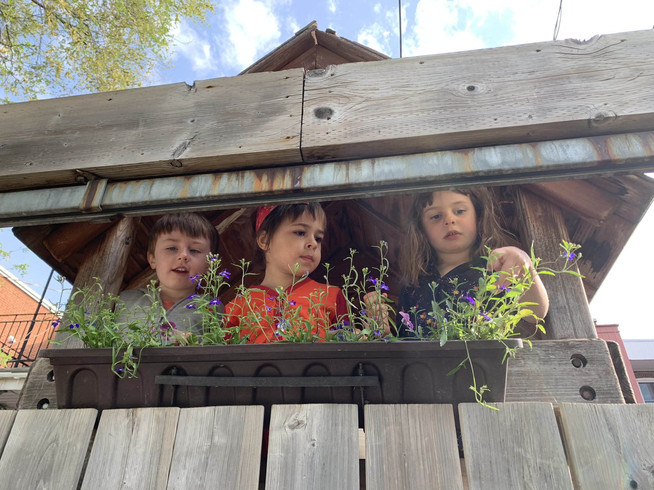 Children looking out from a wooden playhouse with flower box