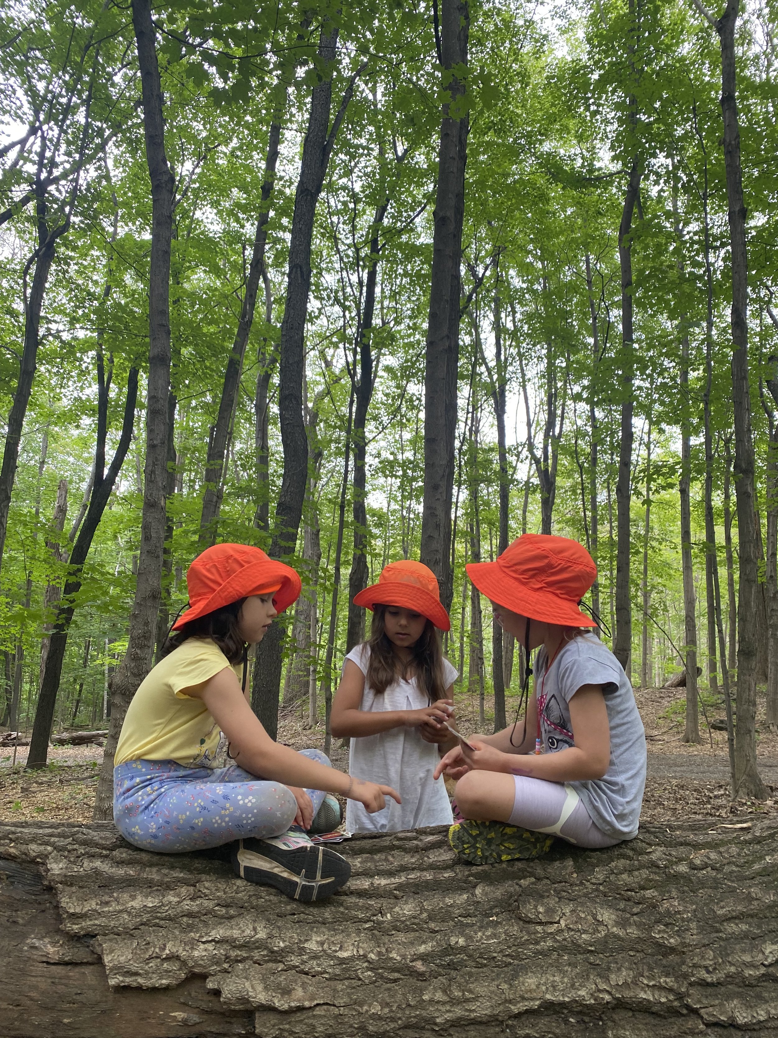 Three children wearing orange hats sitting on a log in a forest.
