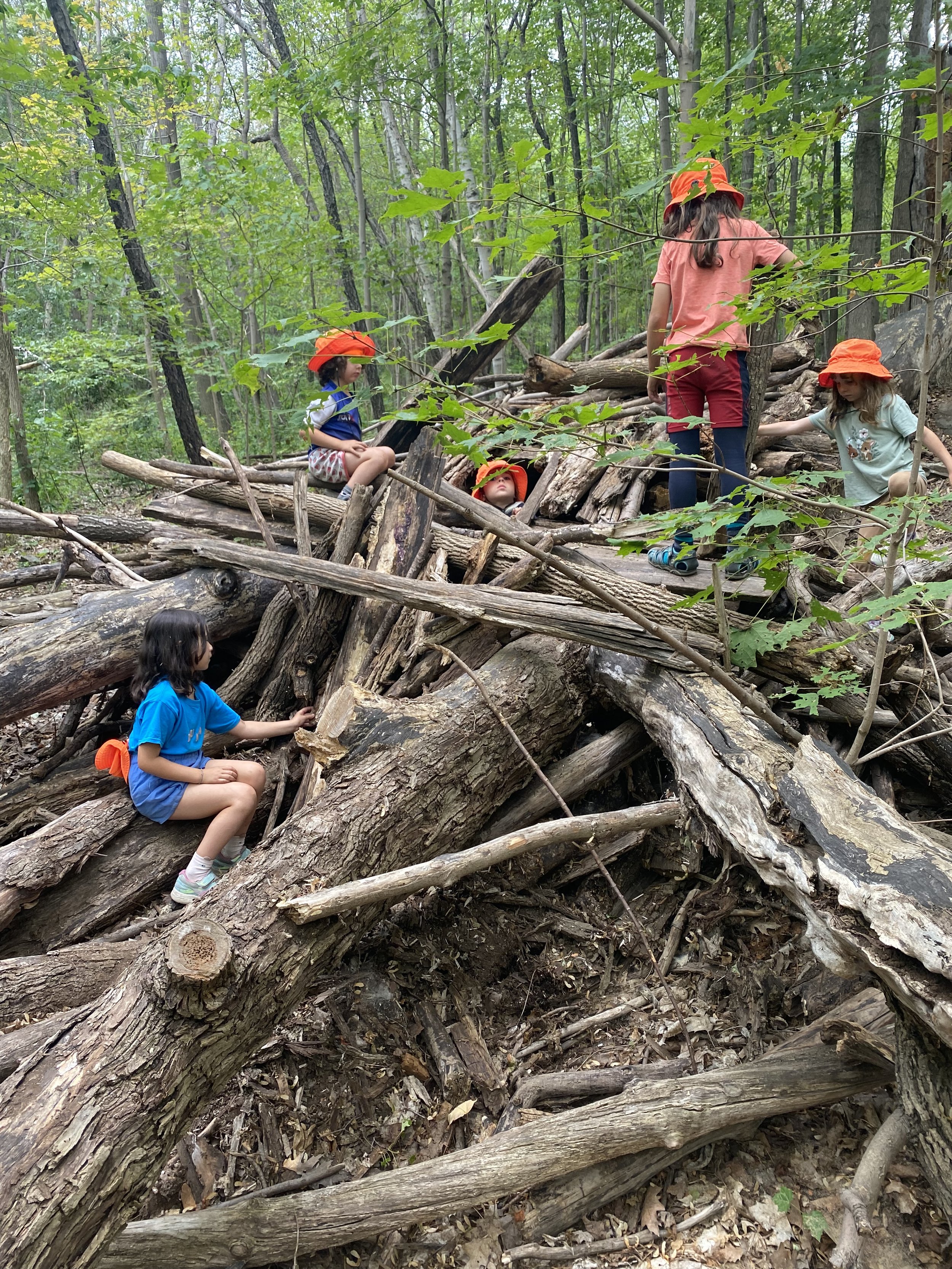 Children wearing orange hats playing on a structure made of logs in a forested area.