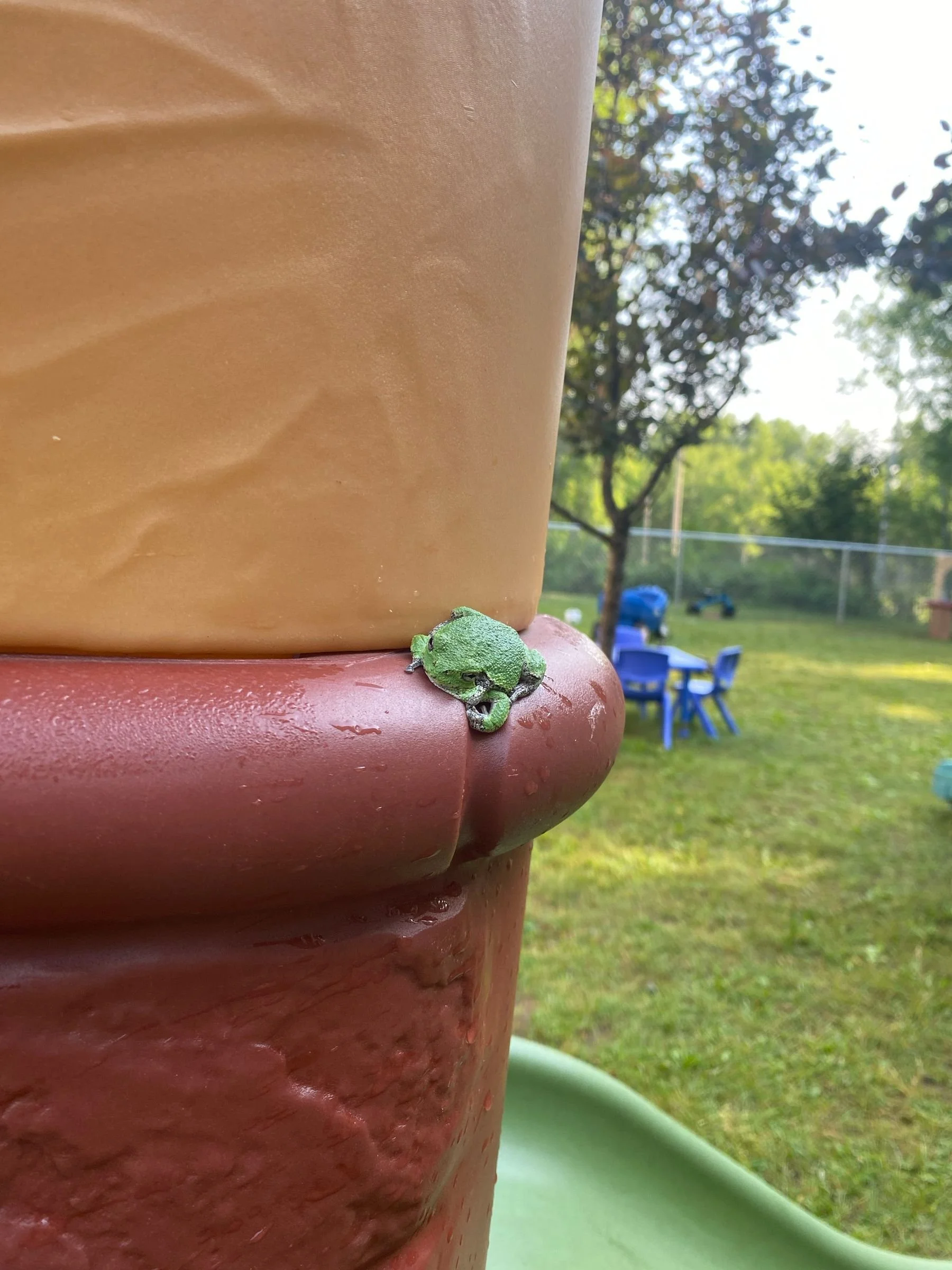 260720160932379_img_3706.jpg
