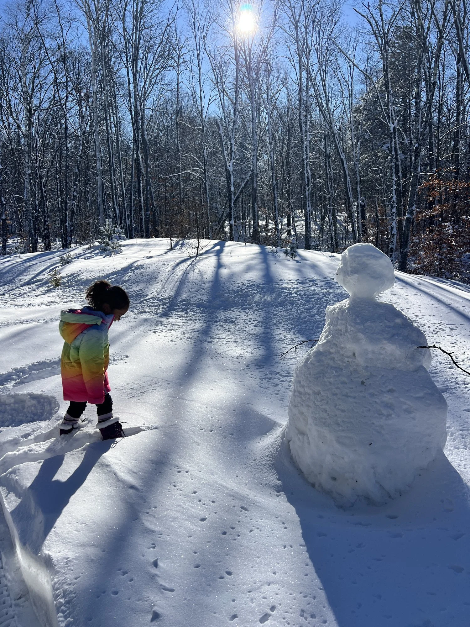 Presidents' Day 2027: 4 PTO Days, 9 Days Away