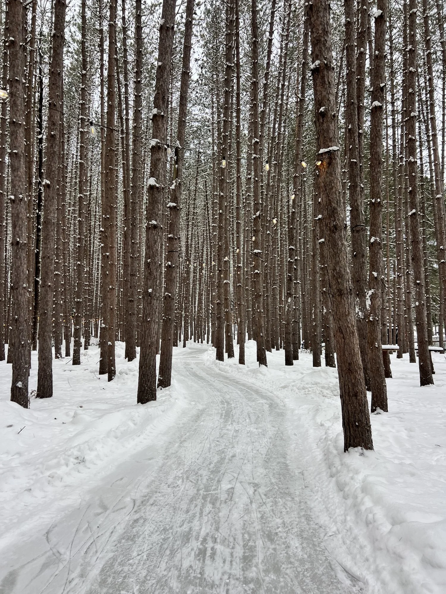mont-tremblant-ice-skating-trail-le-grand-lodge.jpg
