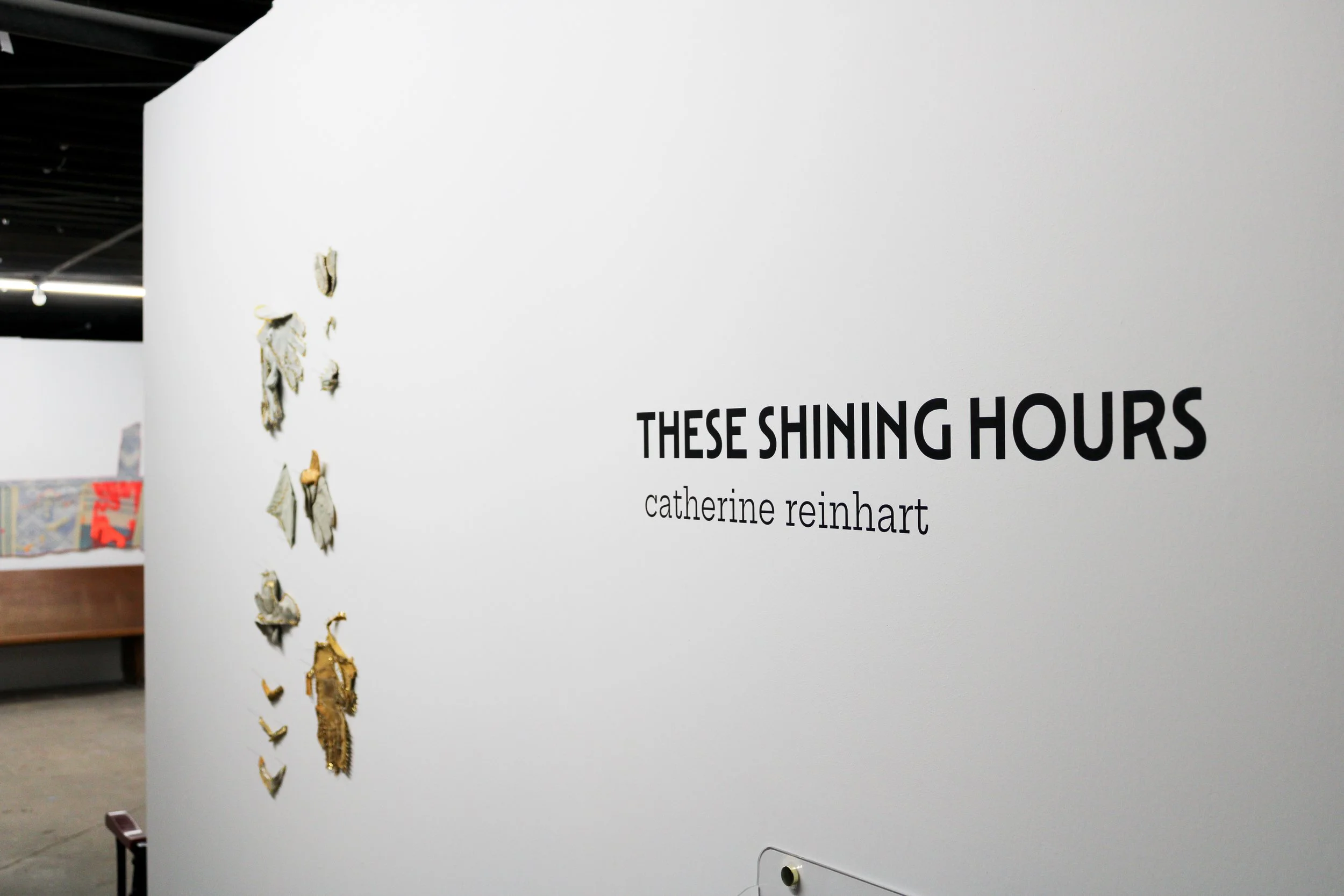 Entry installation image of these shining hours solo exhibition by artist mother catherine reinhart at the waiting room in kansas city