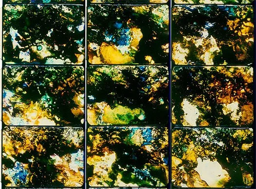 Nine 35mm film frames from Stan Brakhage’s Existence is Song, 1987.