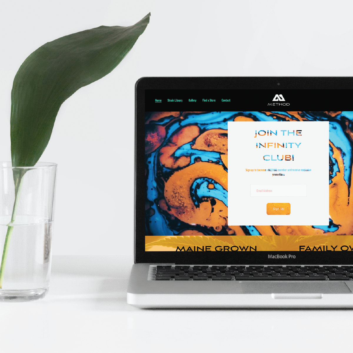 Vivid_website_packaging2_mockups-20.png