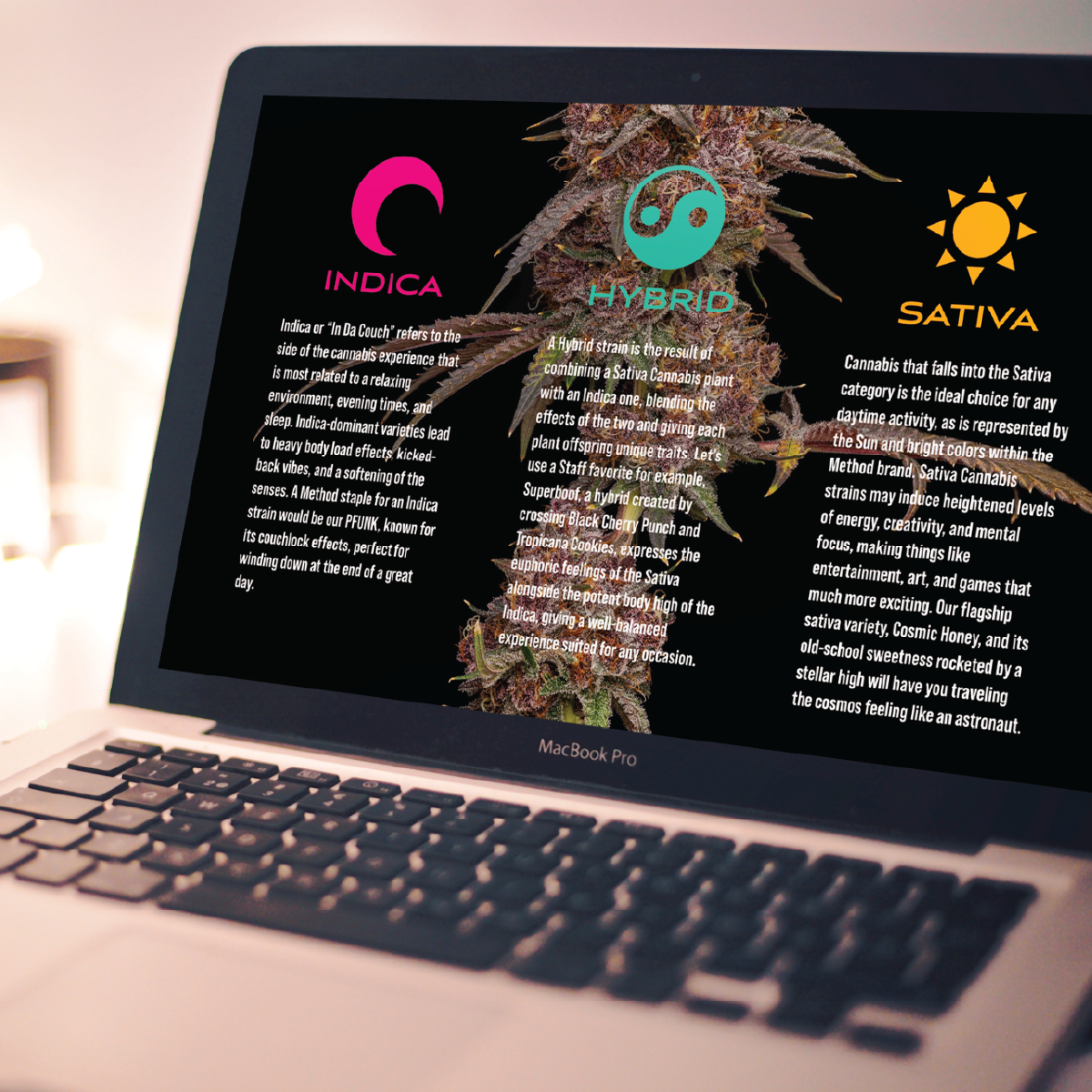 Vivid_website_packaging2_mockups-21.png