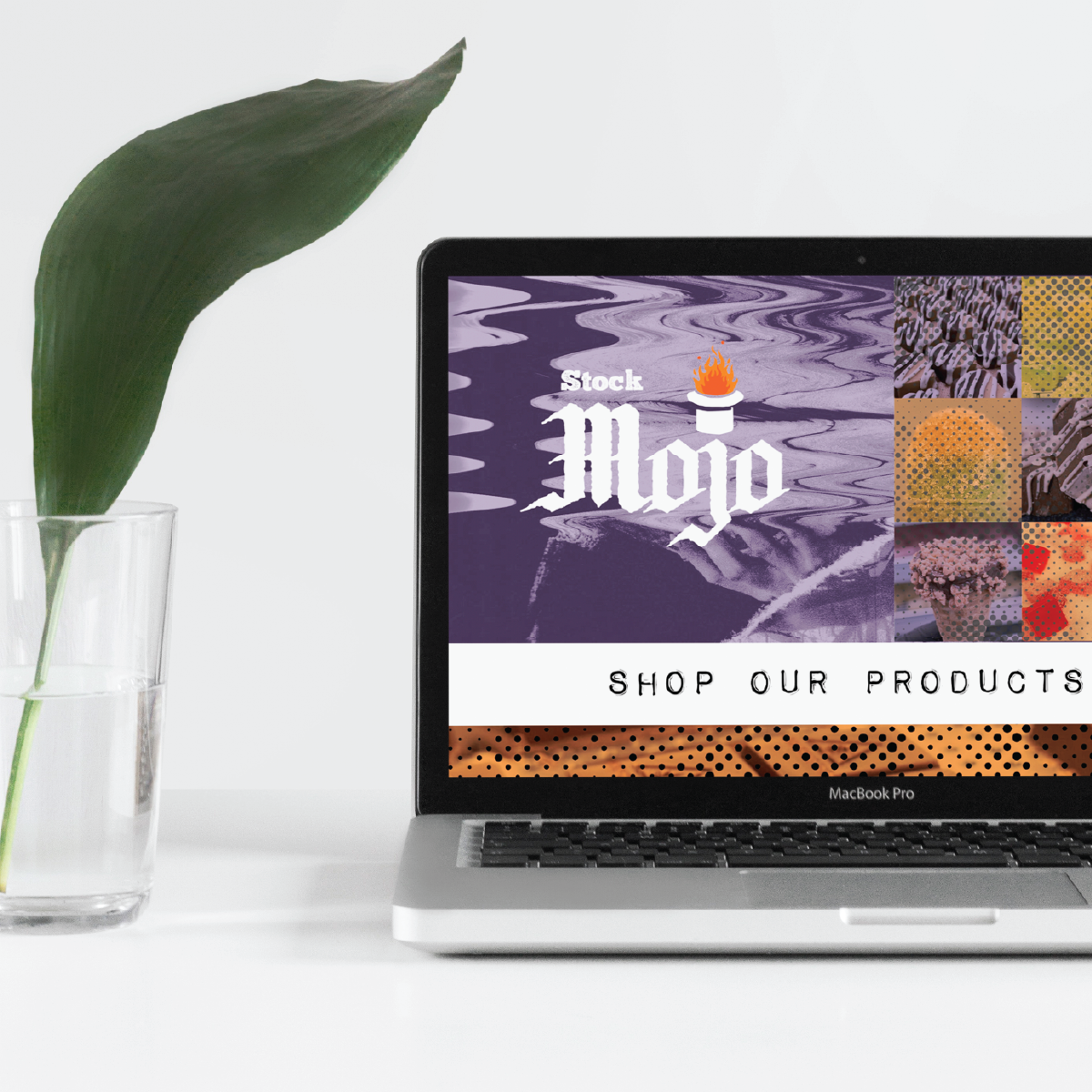 Vivid_website_packaging2_mockups-29.png