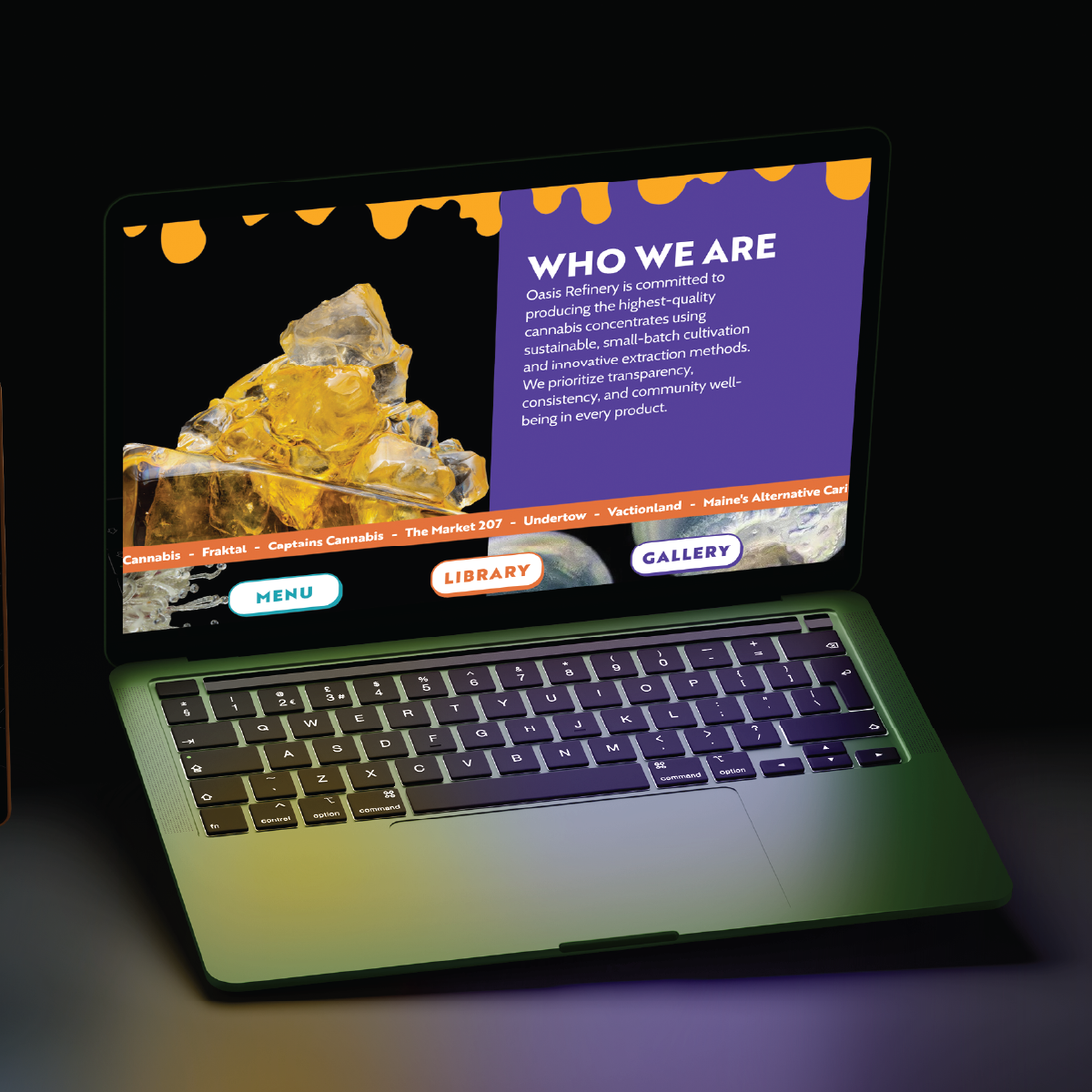 Vivid_website_web_mockups-03.png