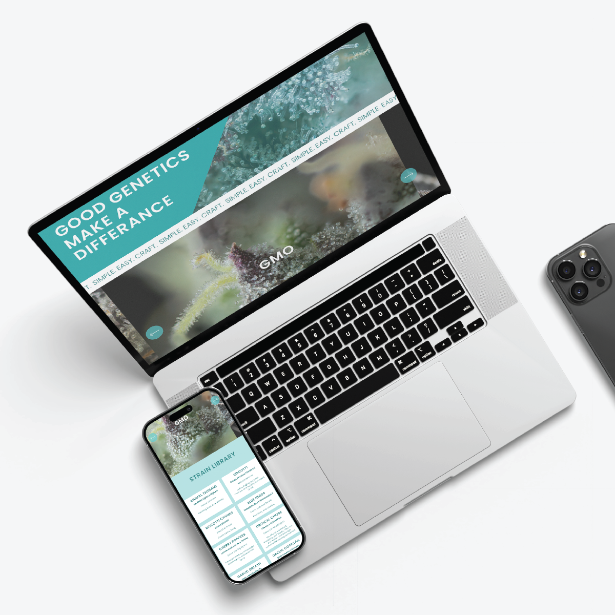 Vivid_website_web_mockups-15.png