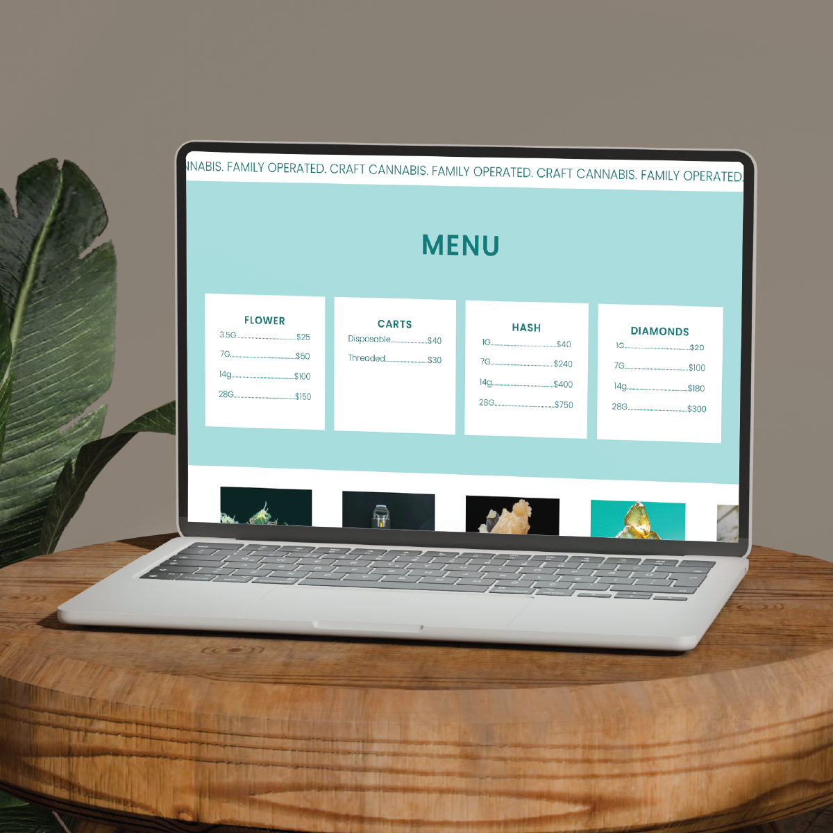 Vivid_website_web_mockups-16.png