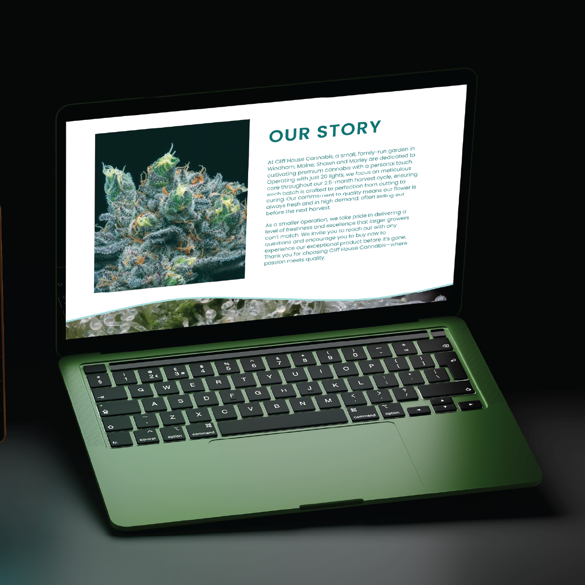 Vivid_website_web_mockups-18.png