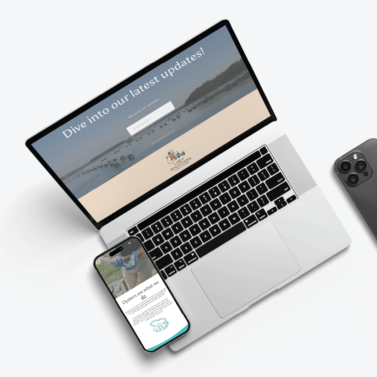 Vivid_website_web_mockups-05.png