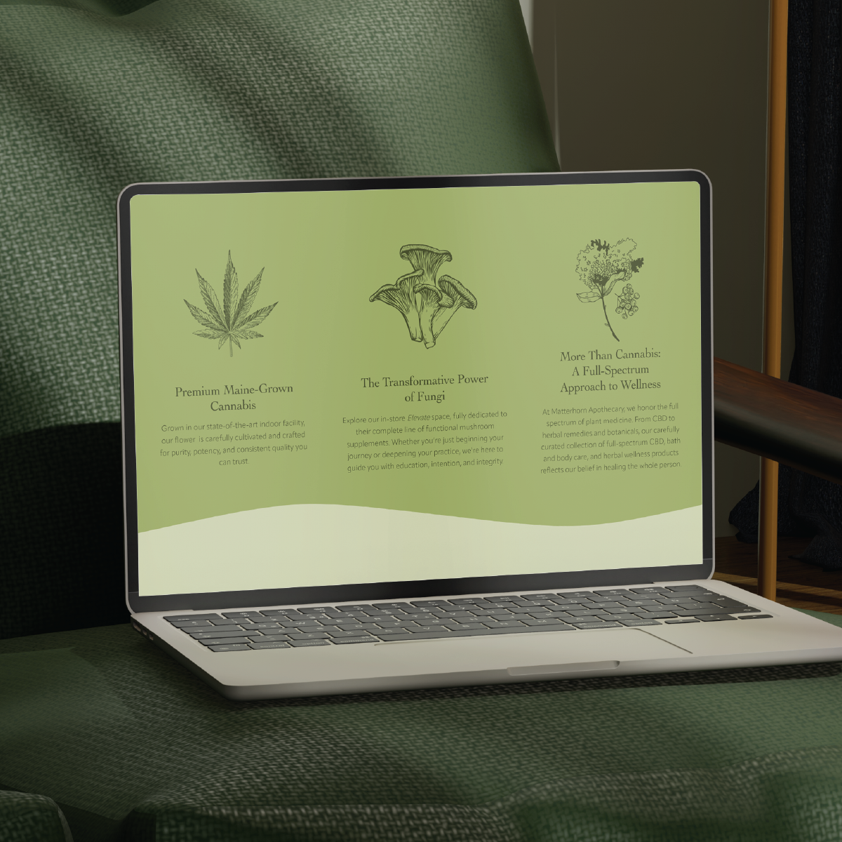 Vivid_website_web_mockups-11.png