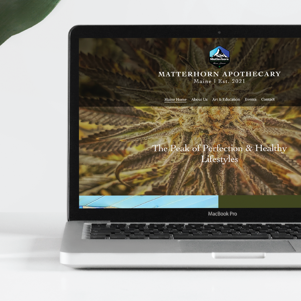 Vivid_website_web_mockups-10.png