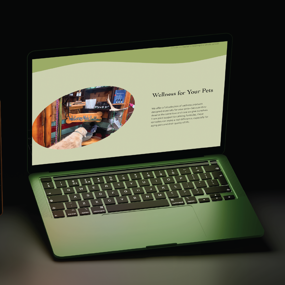 Vivid_website_web_mockups-13.png