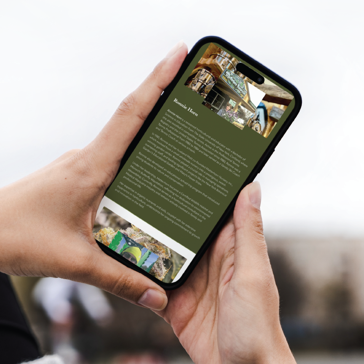 Vivid_website_web_mockups-14.png