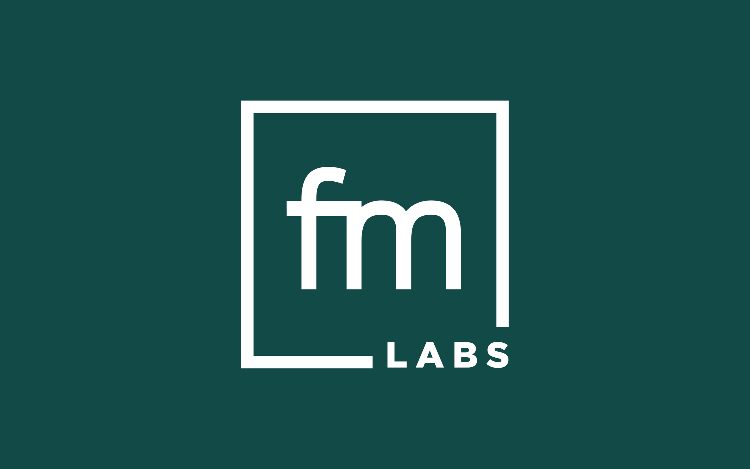 fm Labs
