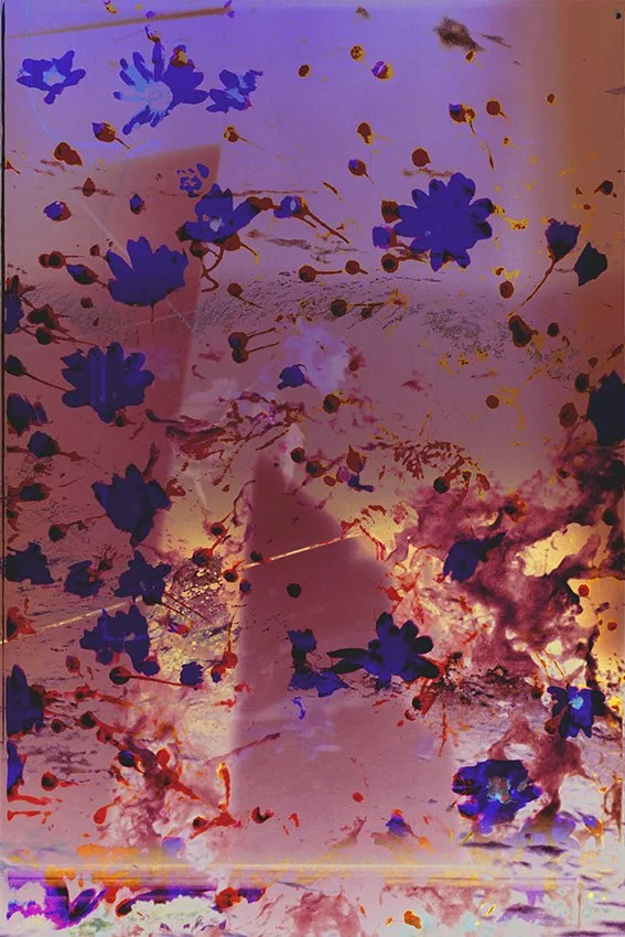 GV_MineralFile_056.jpg
