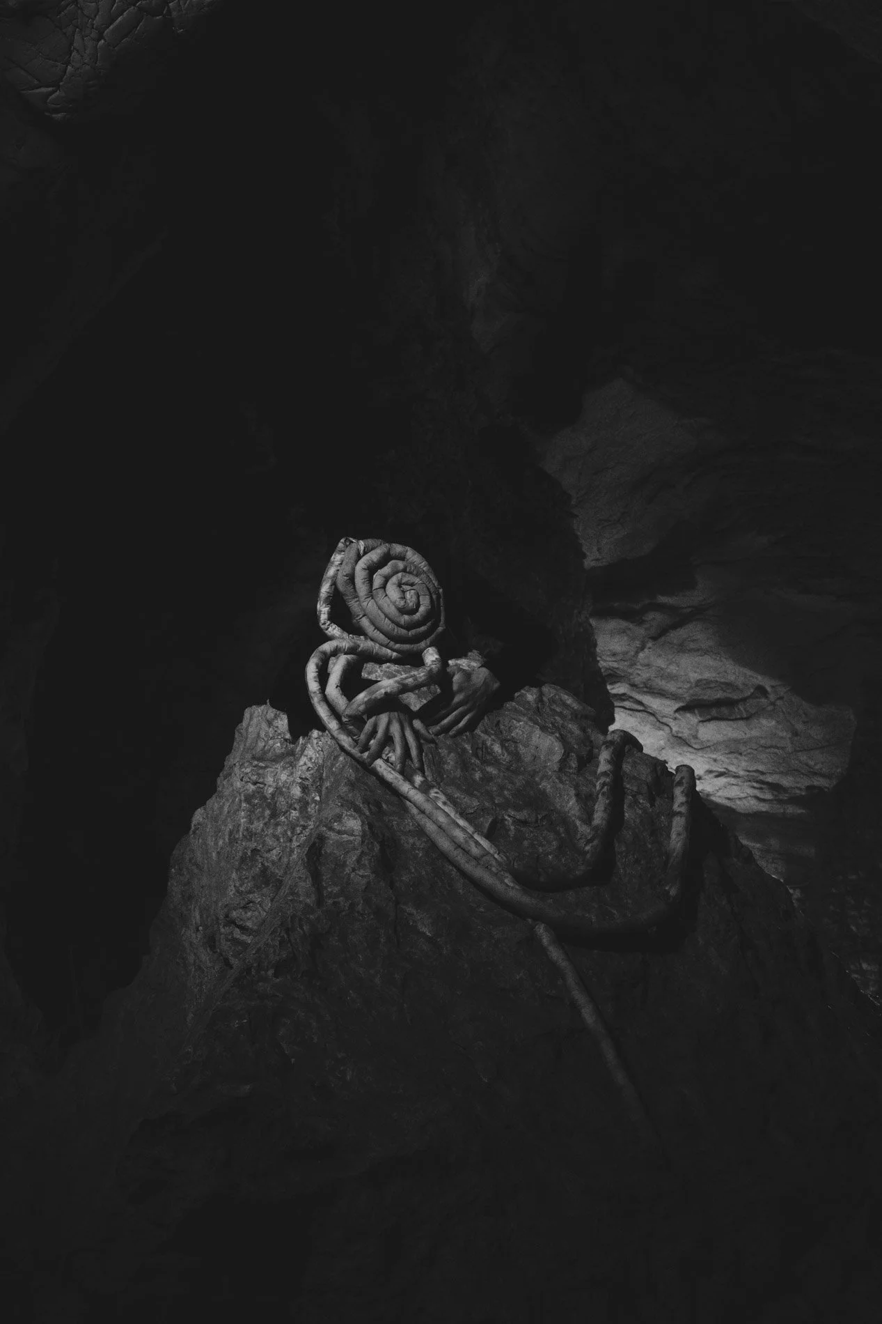 GV_CAVE_2022_001.jpeg