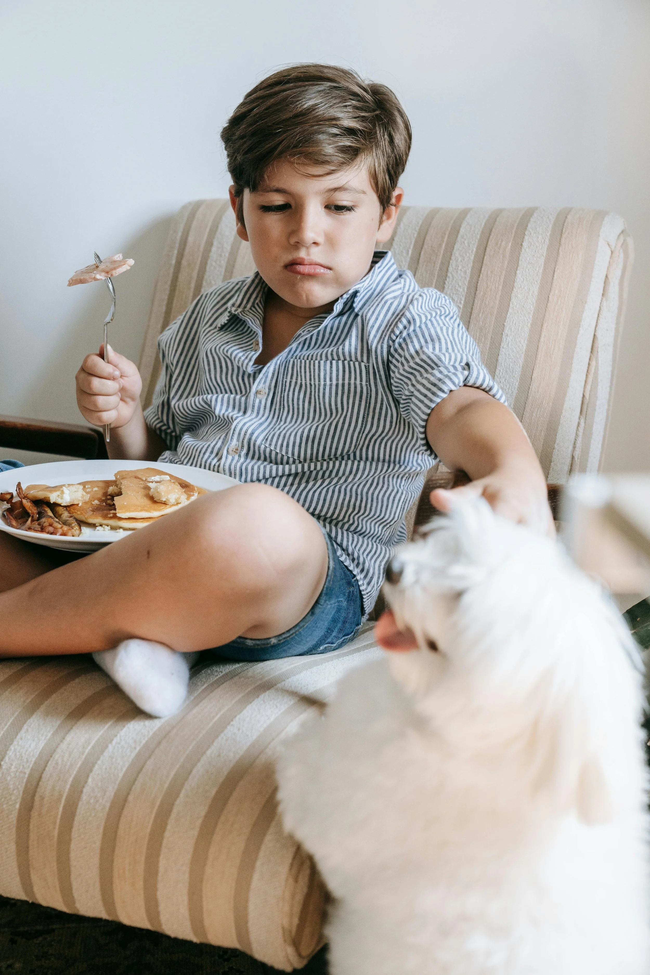 A boy with a plate of pancakes on his lap, petting a white dog